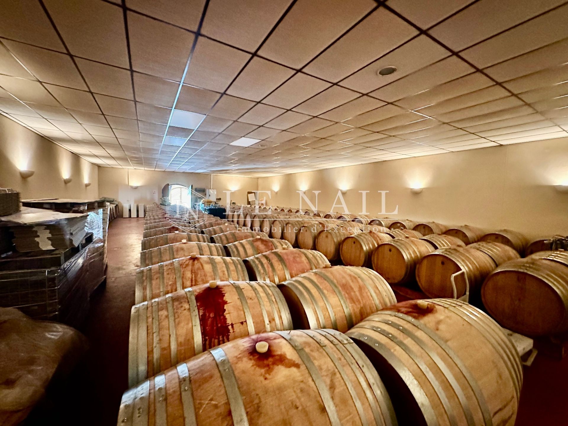 wine estate 7 rooms for sale on BERGERAC (24100)