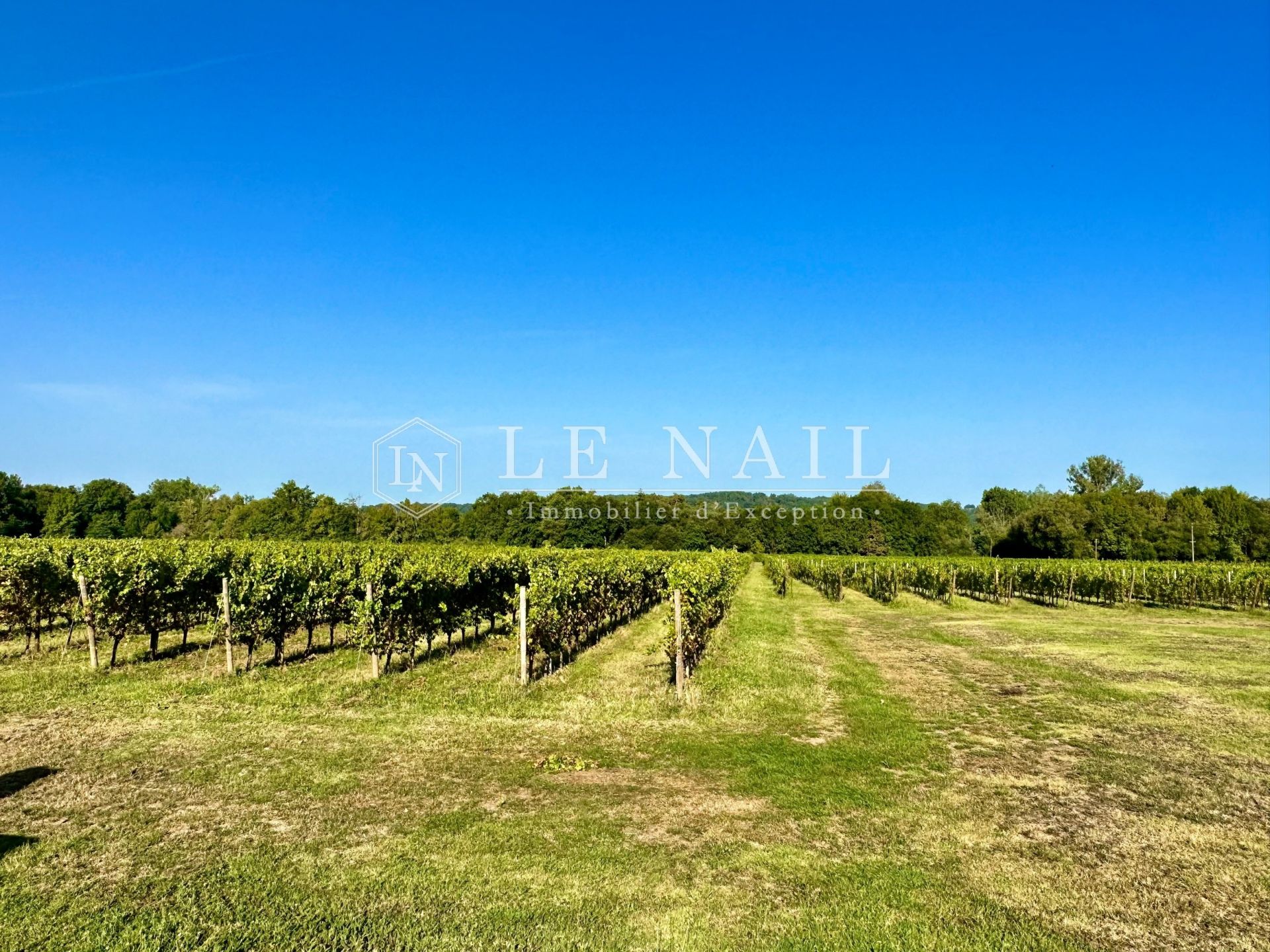 wine estate 7 rooms for sale on BERGERAC (24100)