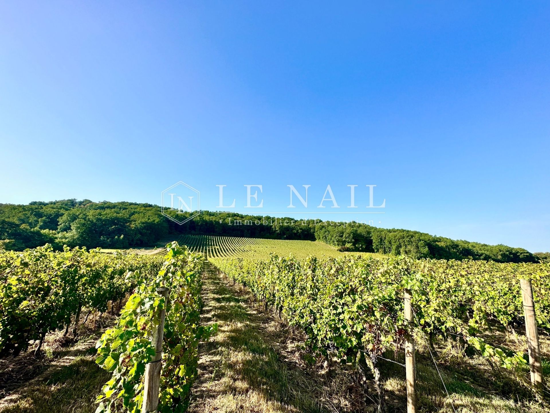 wine estate 7 rooms for sale on BERGERAC (24100)