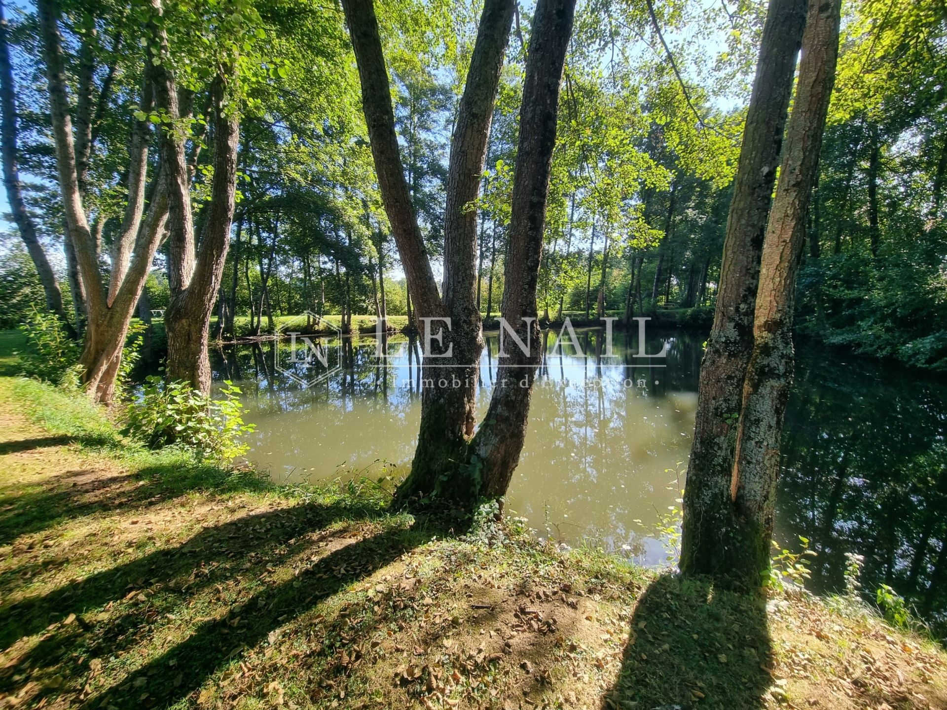 propriété 11 pièces en vente à NEUVY LE ROI (37370)
