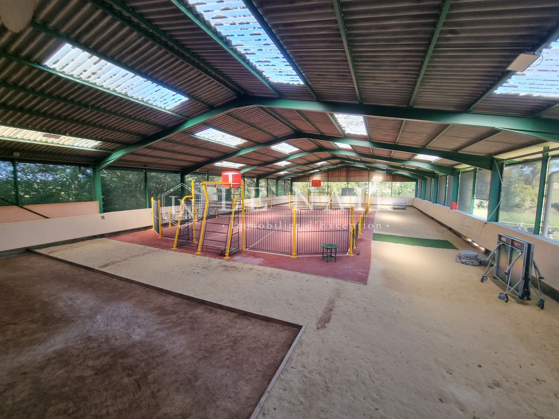 propriété 11 pièces en vente à NEUVY LE ROI (37370)