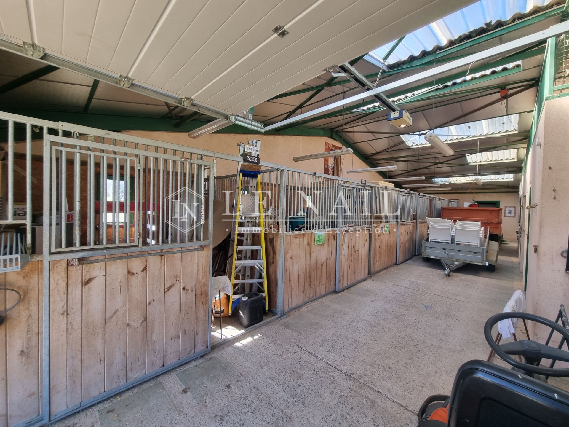 propriété 11 pièces en vente à NEUVY LE ROI (37370)