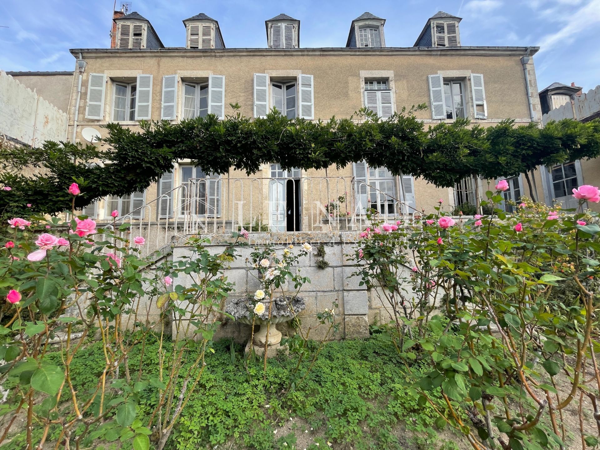 hôtel particulier 17 pièces en vente à LE BLANC (36300)