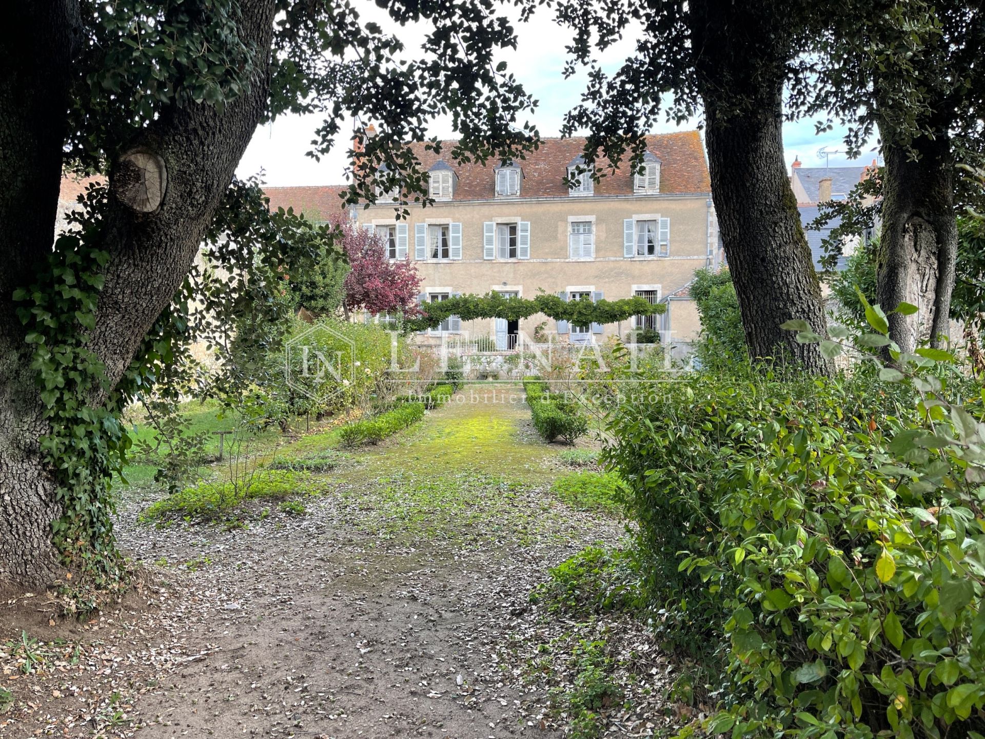 hôtel particulier 17 pièces en vente à LE BLANC (36300)