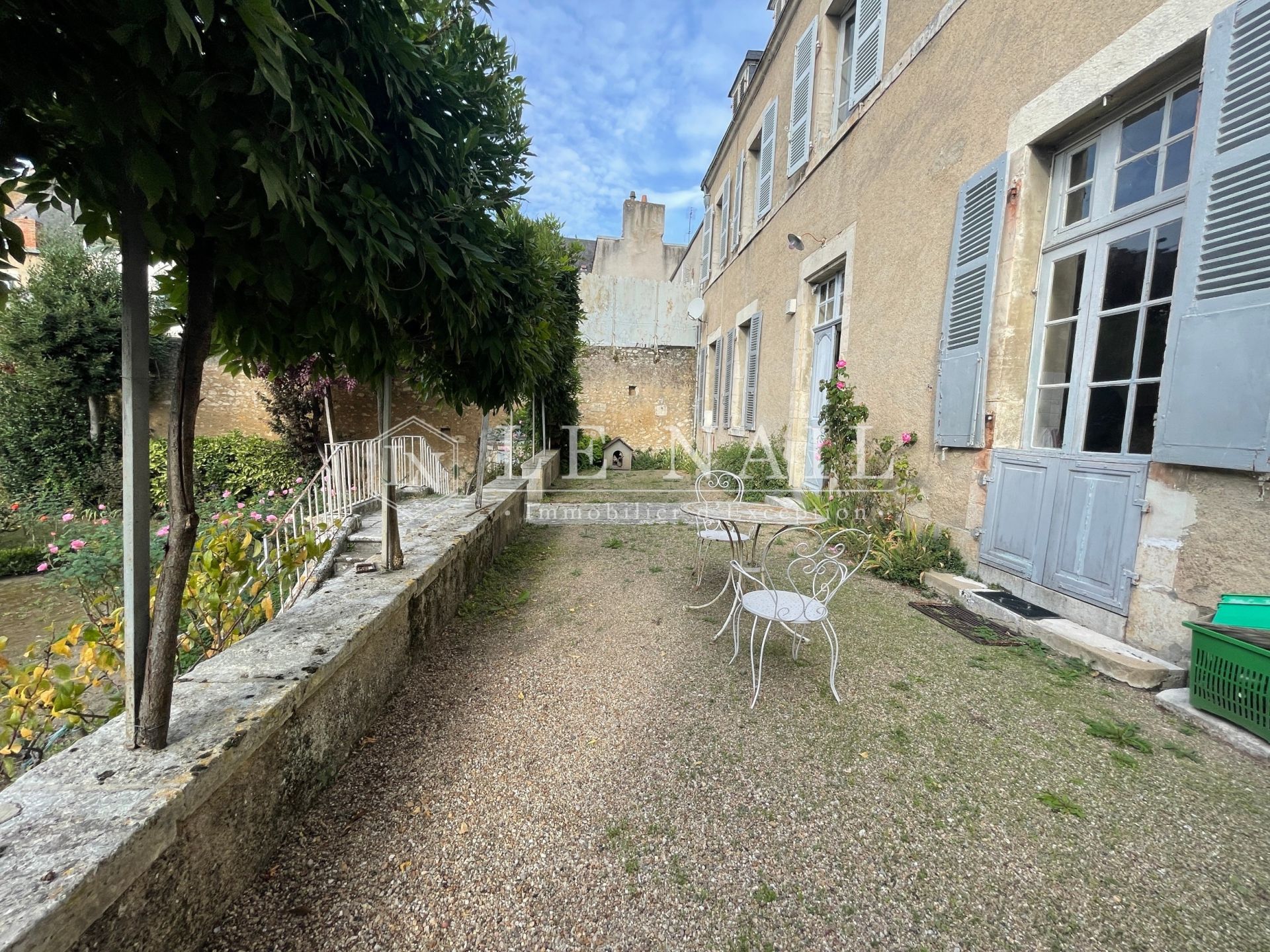 hôtel particulier 17 pièces en vente à LE BLANC (36300)