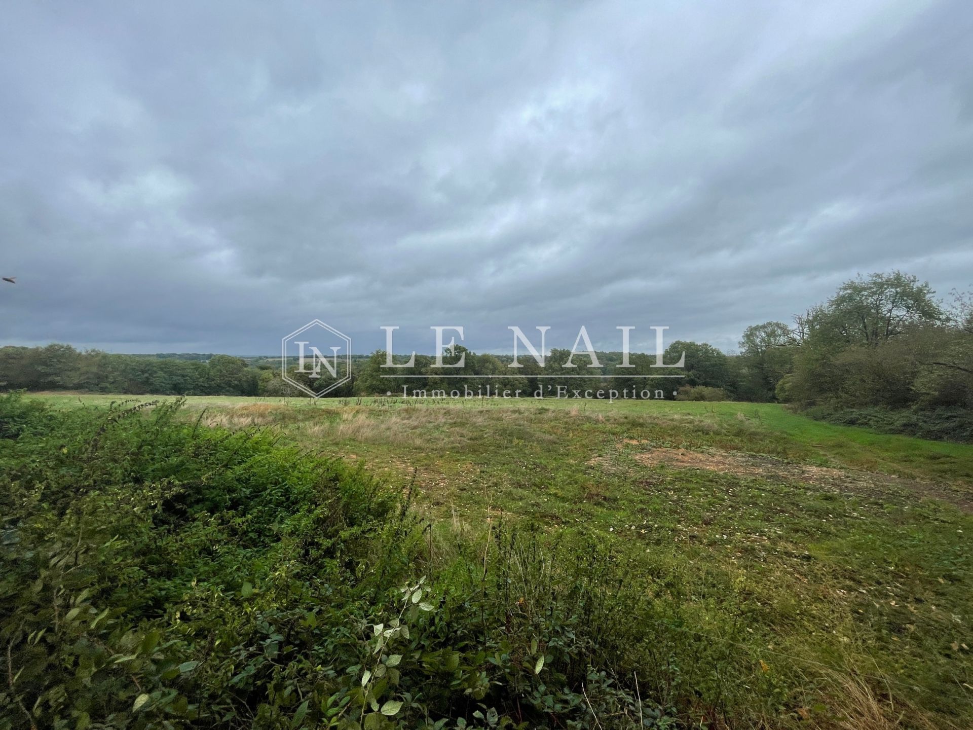 château 18 pièces en vente à ANGOULEME (16000)