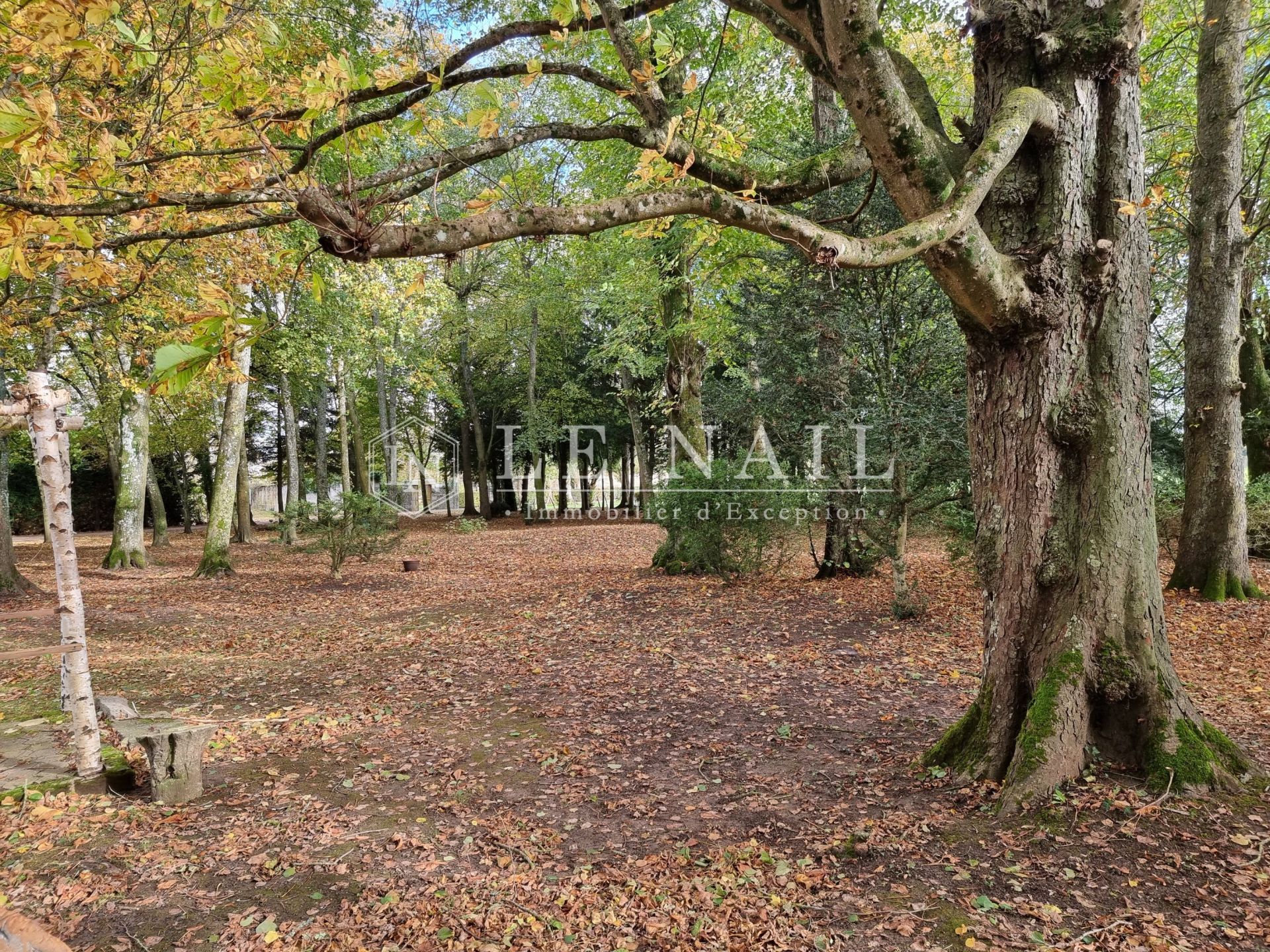 castle 16 rooms for sale on ALENCON (61000)