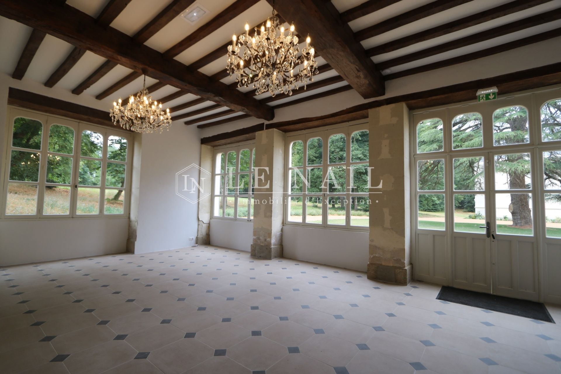 château 25 pièces en vente à LE LION D ANGERS (49220)