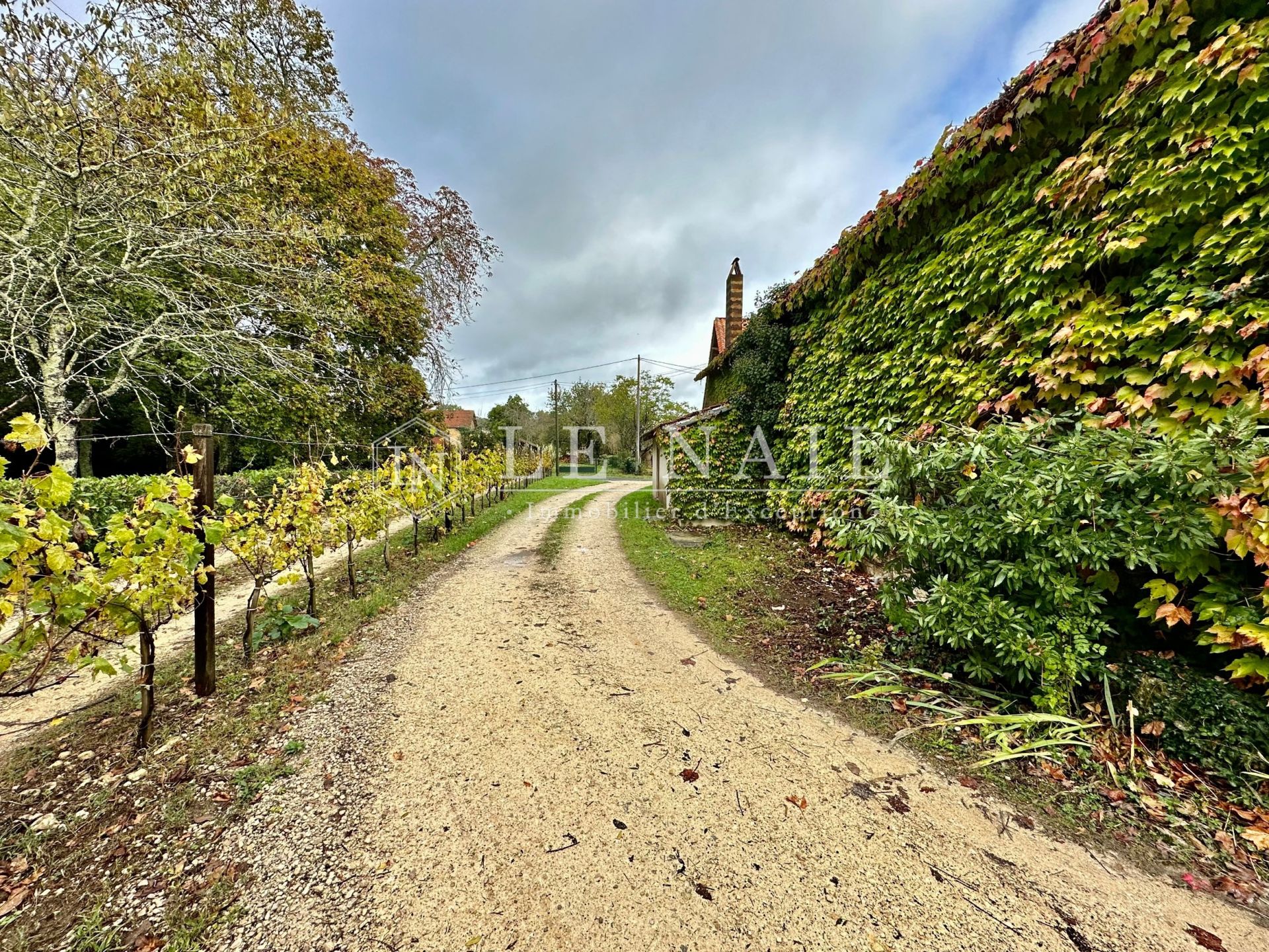 wine estate 7 rooms for sale on BERGERAC (24100)