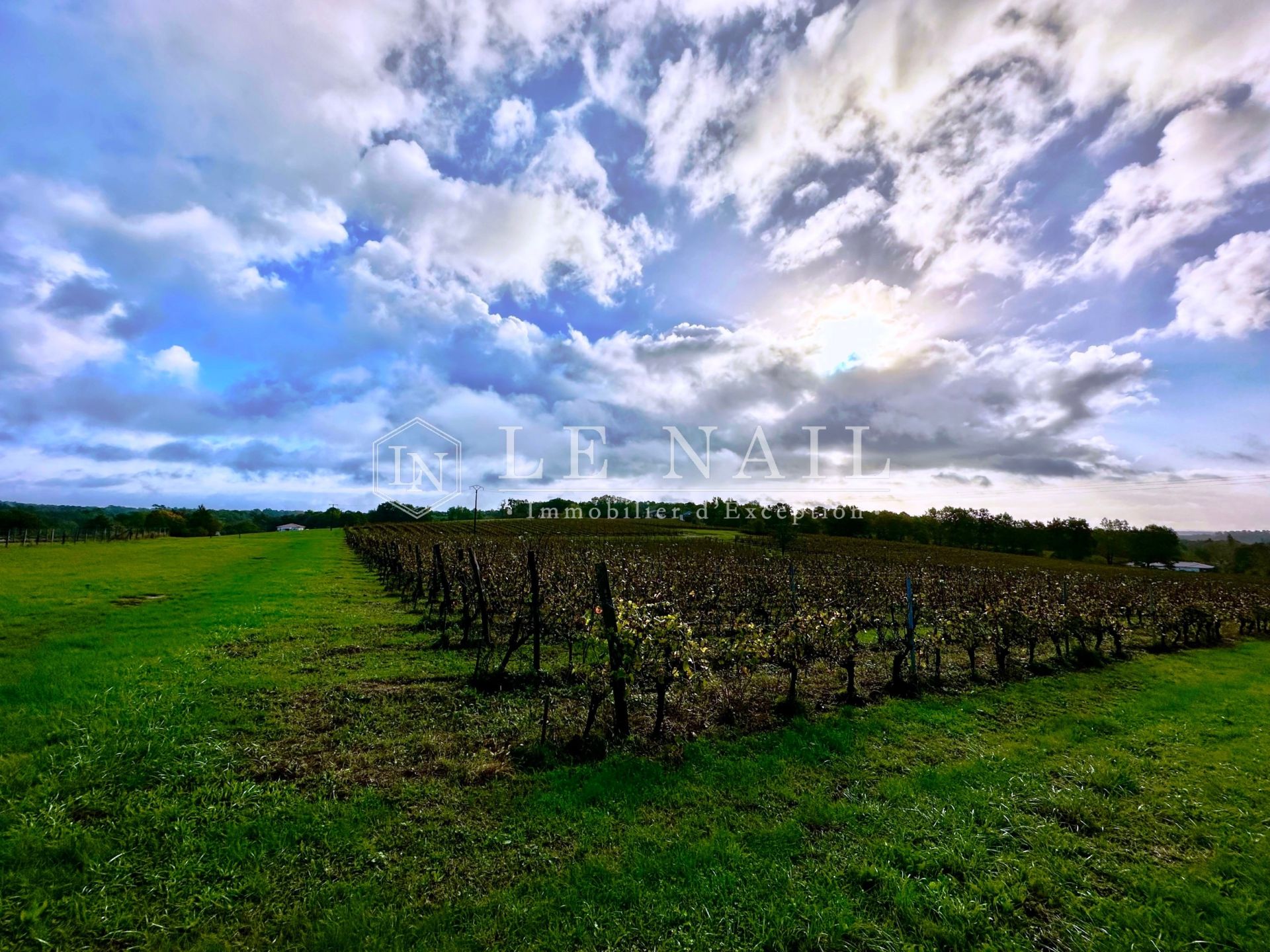 Unique Wine Estate for Sale in Bergerac, Heart of Pécharmant Appellation