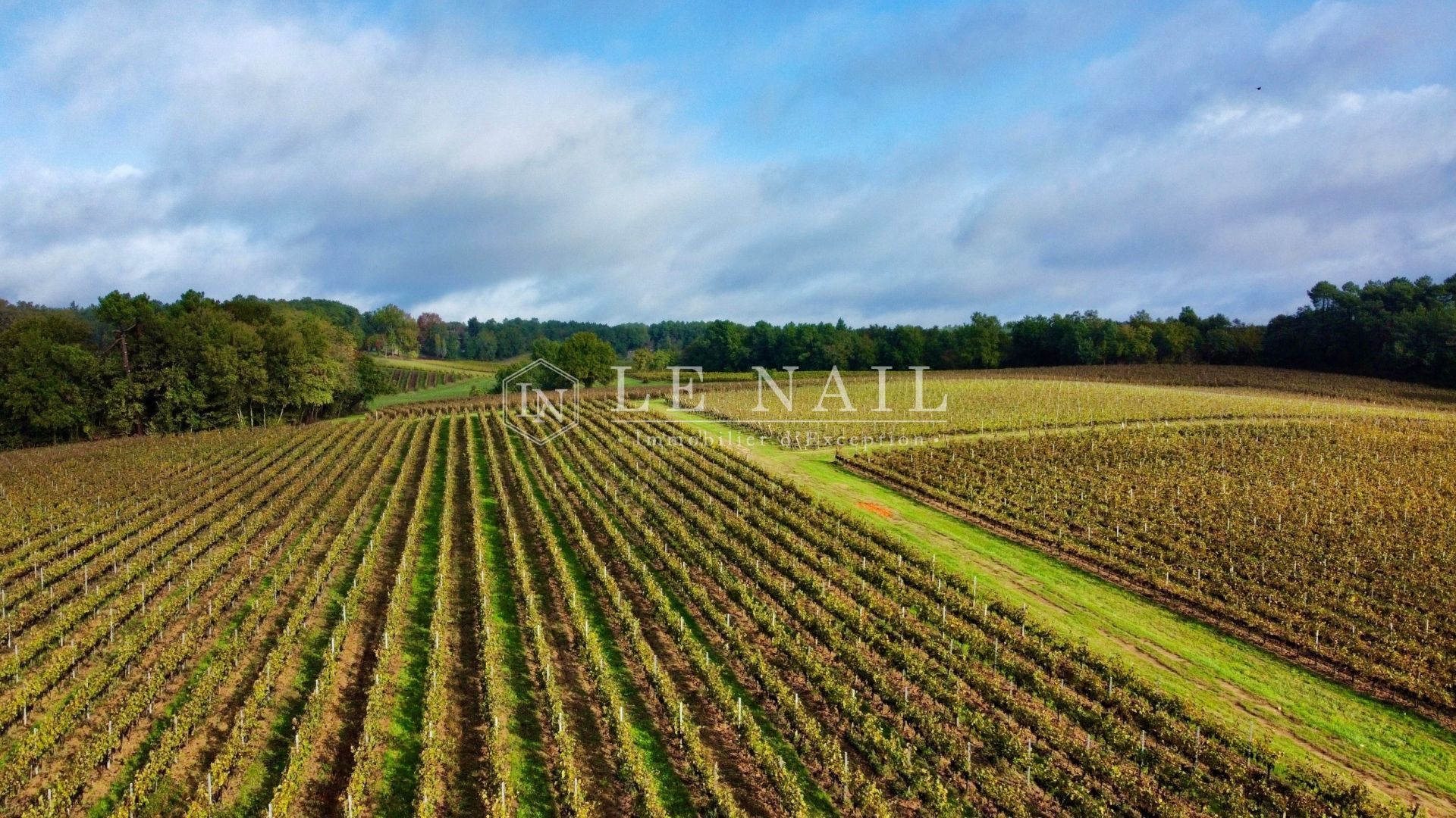 wine estate 7 rooms for sale on BERGERAC (24100)
