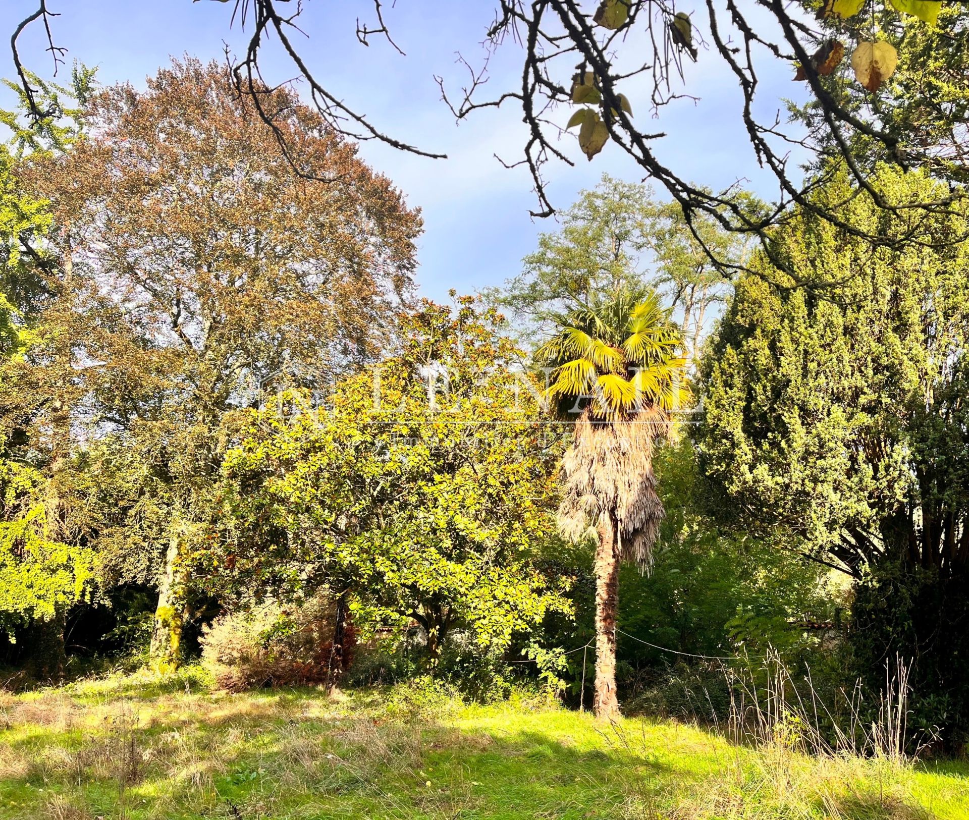 mansion 1 room for sale on STE HERMINE (85210)