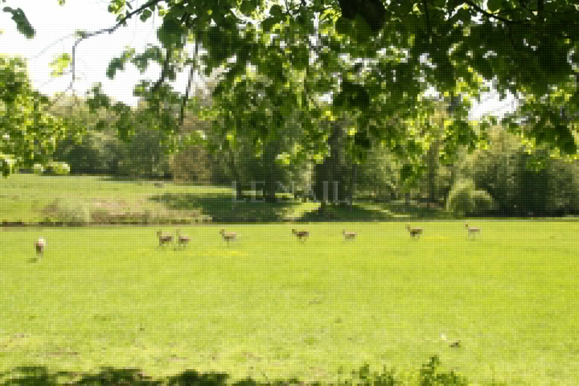 castle 20 rooms for sale on Bourges (18000)