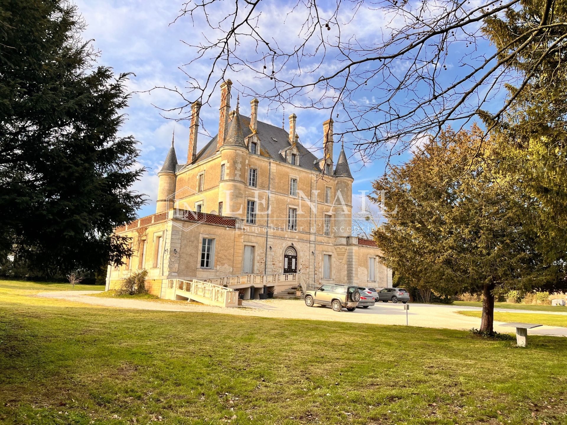 castle 16 rooms for sale on CHANTONNAY (85110)