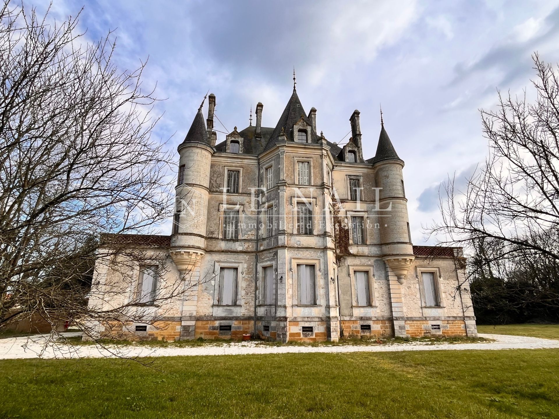 château 16 pièces en vente à CHANTONNAY (85110)