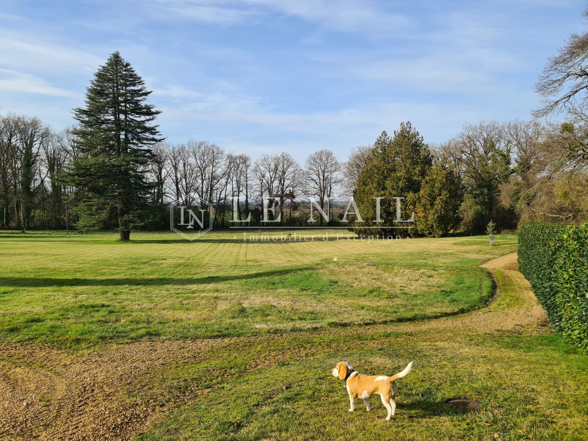 castle 28 rooms for sale on LE MANS (72000)