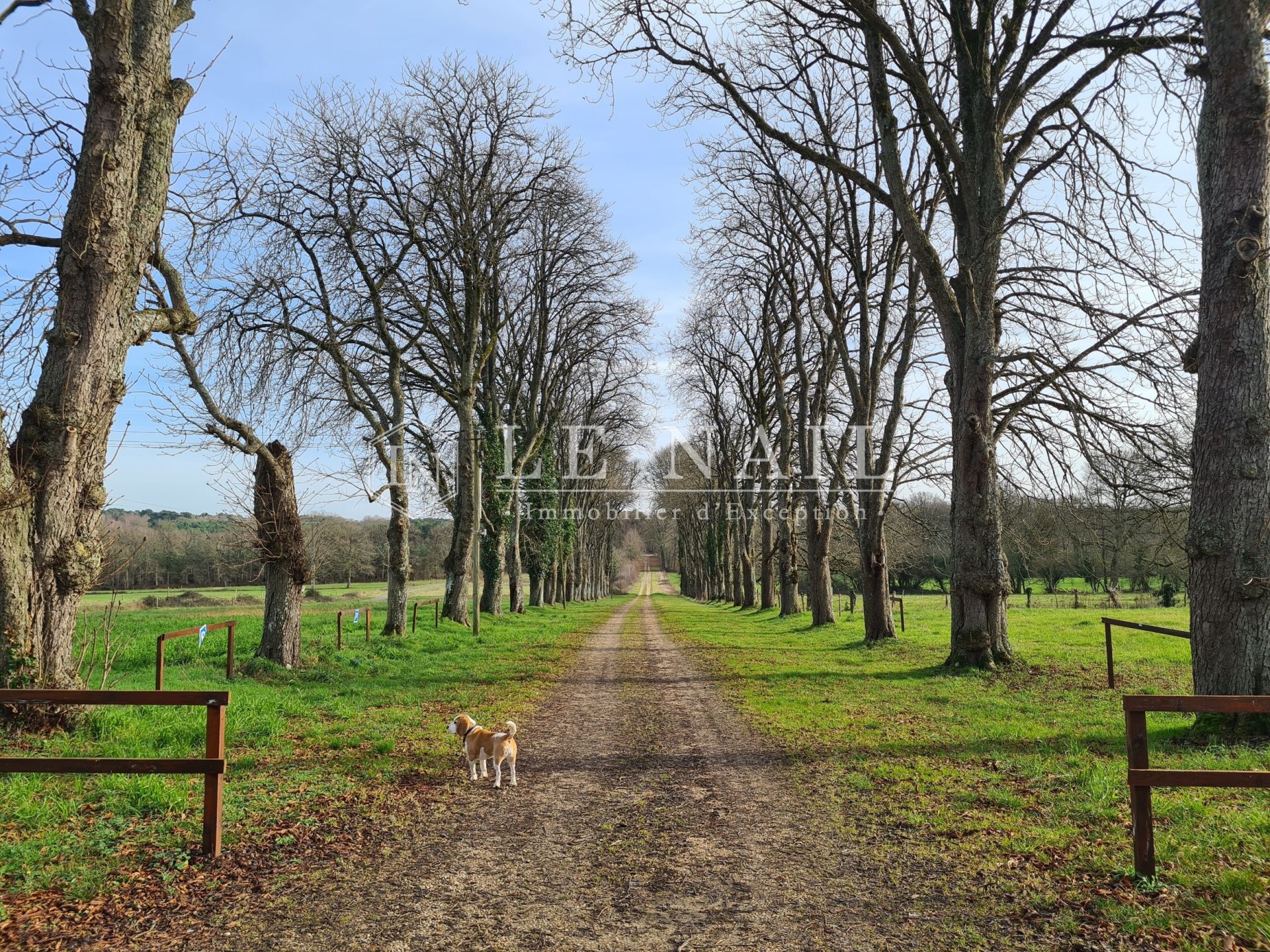 château 28 pièces en vente à LE MANS (72000)