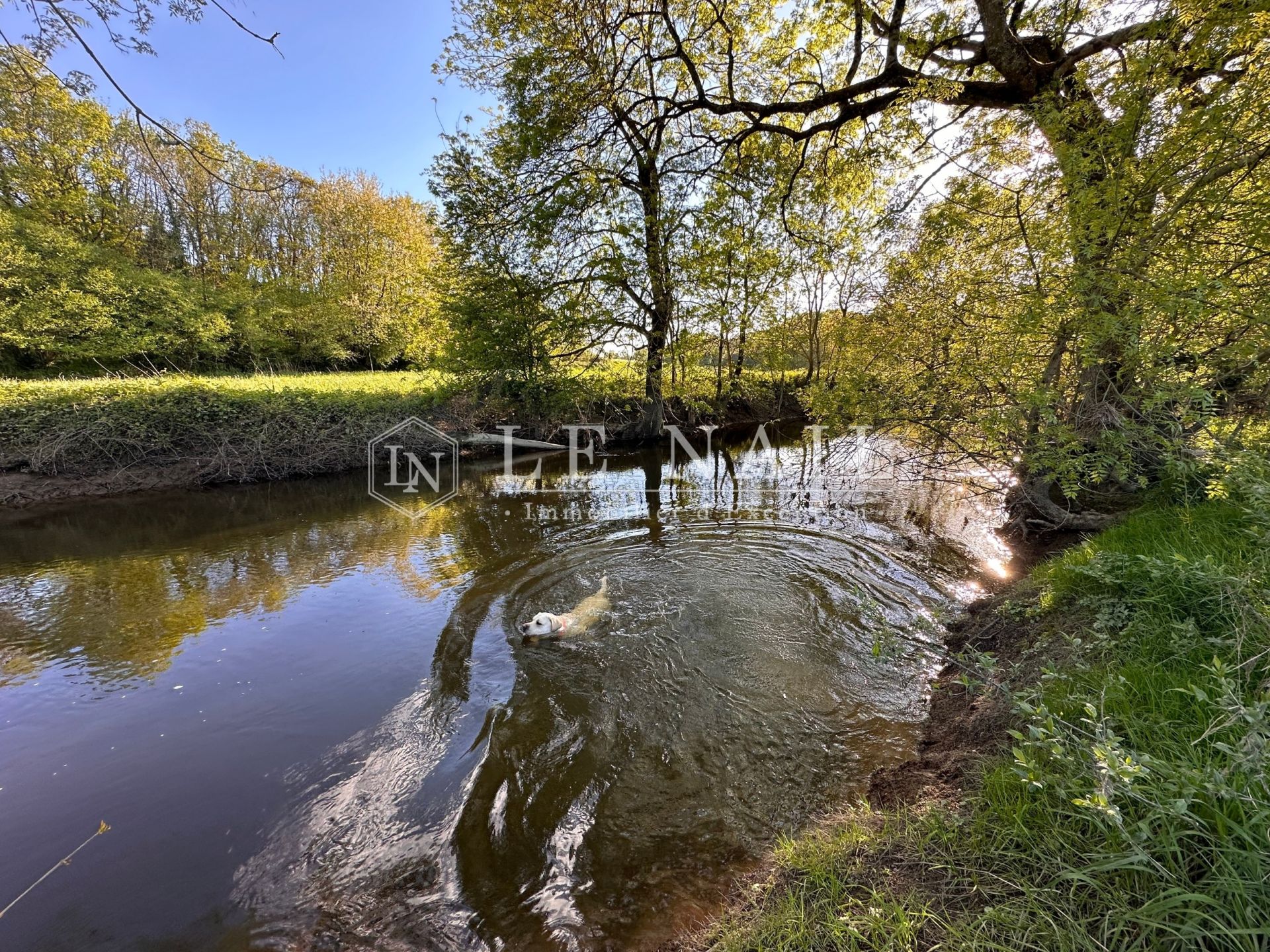 manor house 12 rooms for sale on NORT SUR ERDRE (44390)