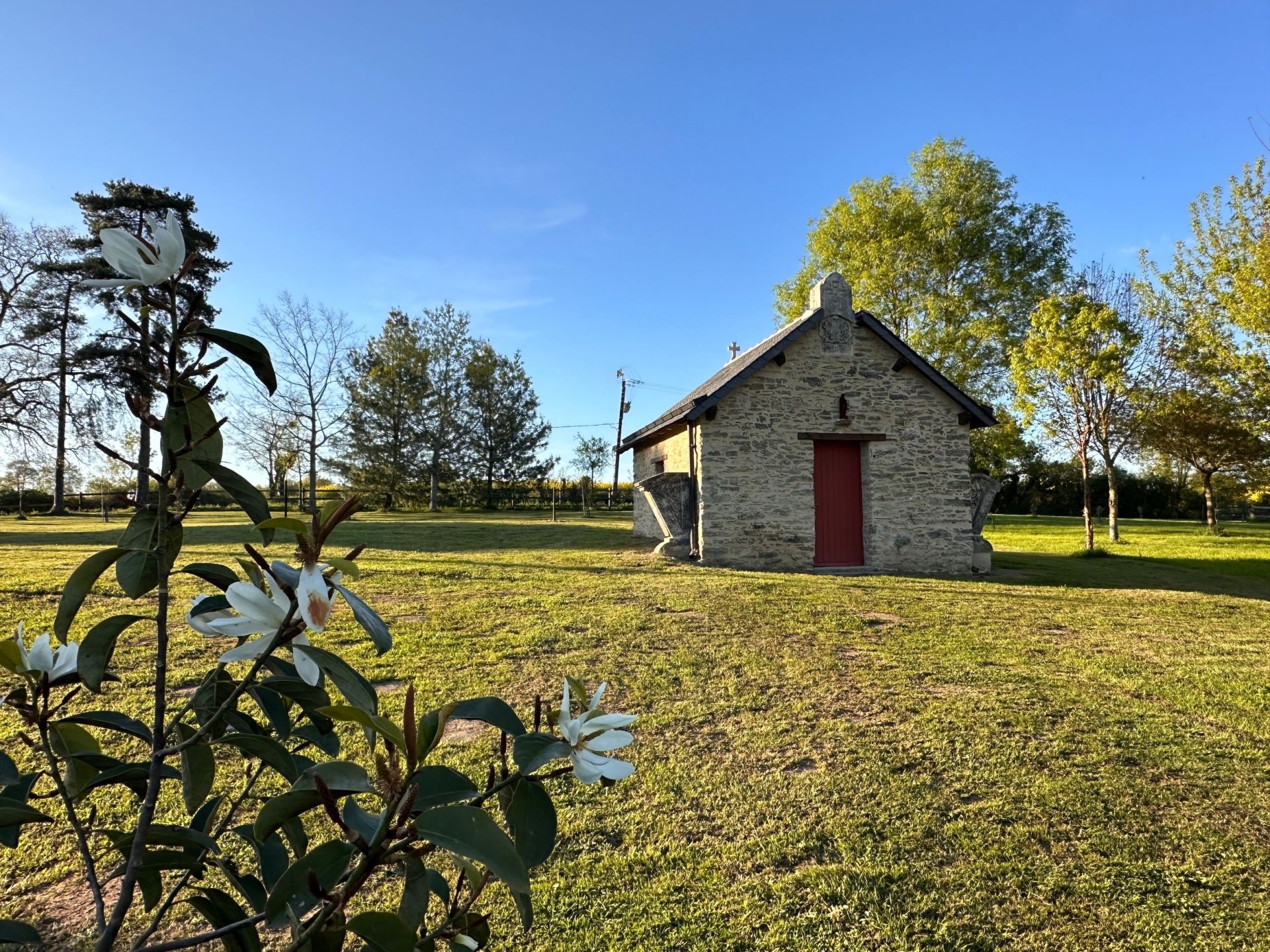 manor house 12 rooms for sale on NORT SUR ERDRE (44390)