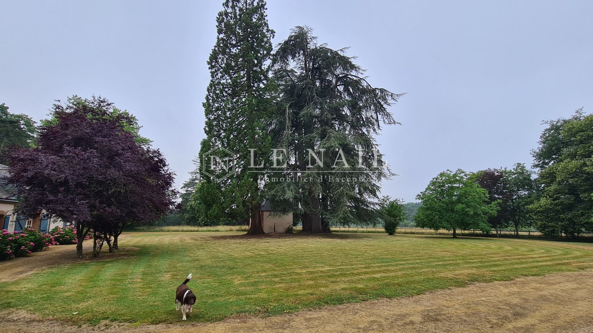 manor house 11 rooms for sale on LE MANS (72000)