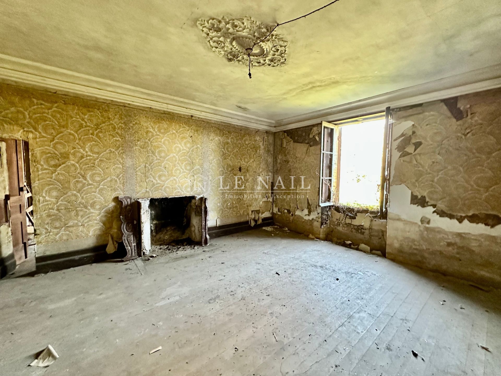 castle 12 rooms for sale on GENSAC (33890)