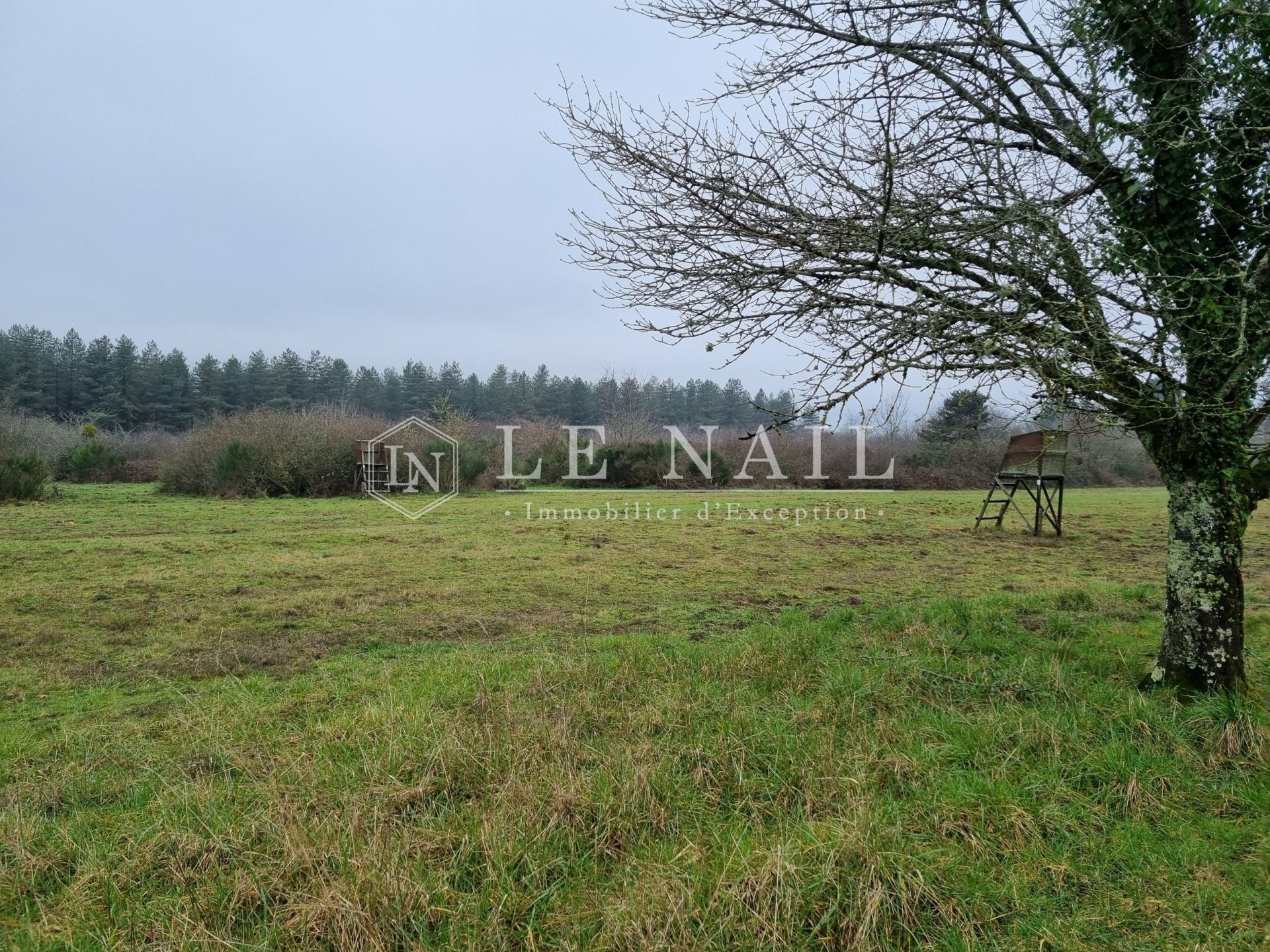 hunting estate 8 rooms for sale on NEUVY SUR BARANGEON (18330)