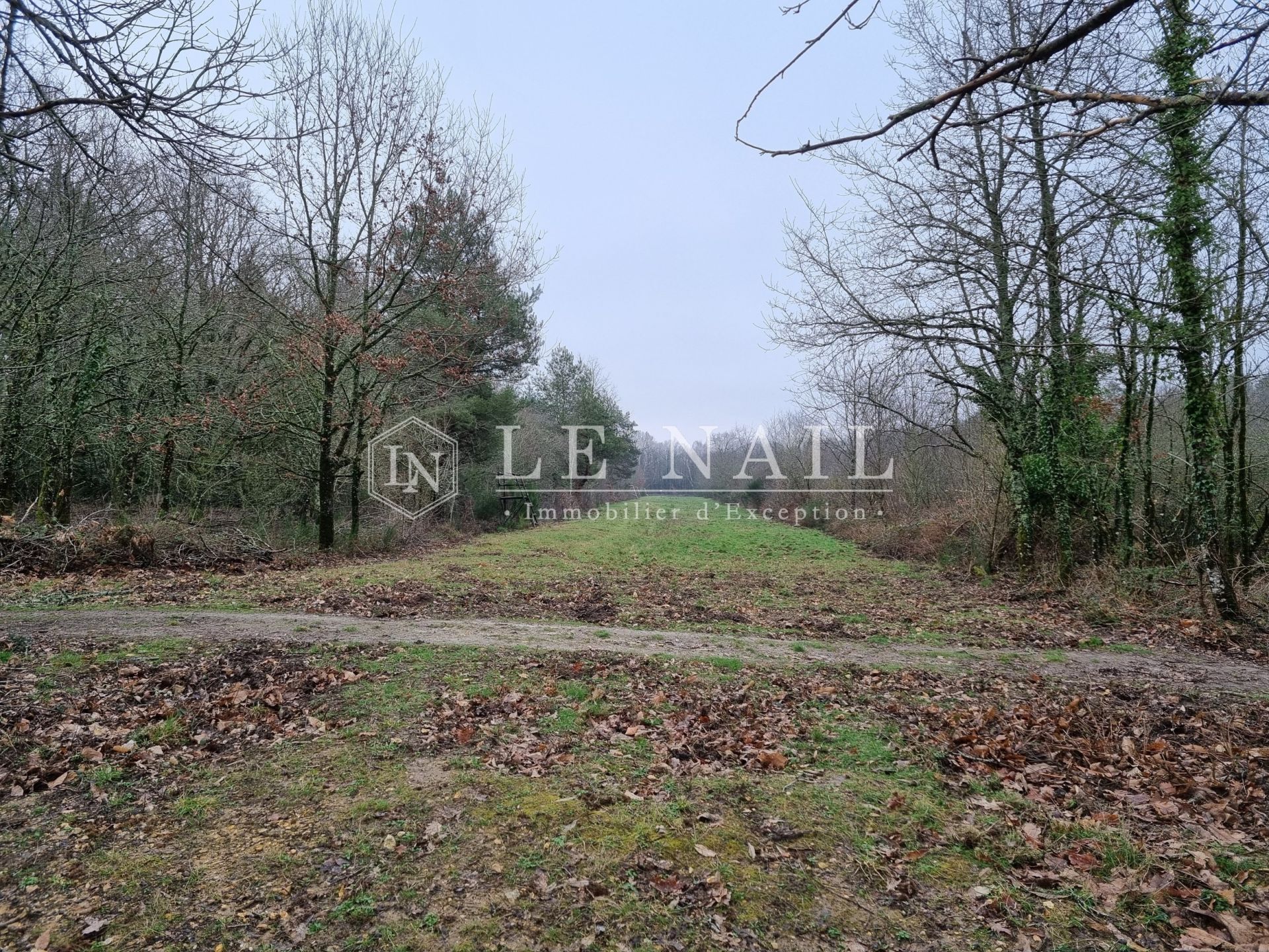 hunting estate 8 rooms for sale on NEUVY SUR BARANGEON (18330)
