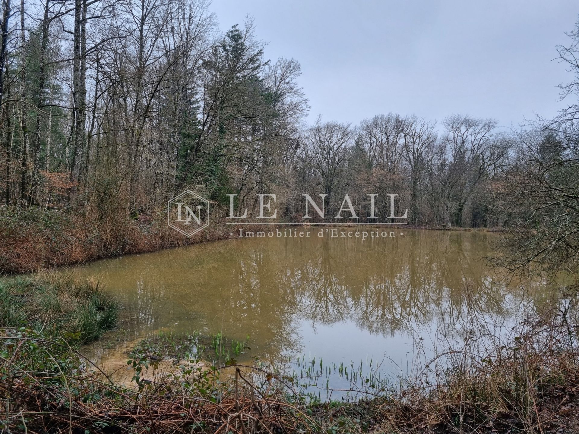 hunting estate 8 rooms for sale on NEUVY SUR BARANGEON (18330)