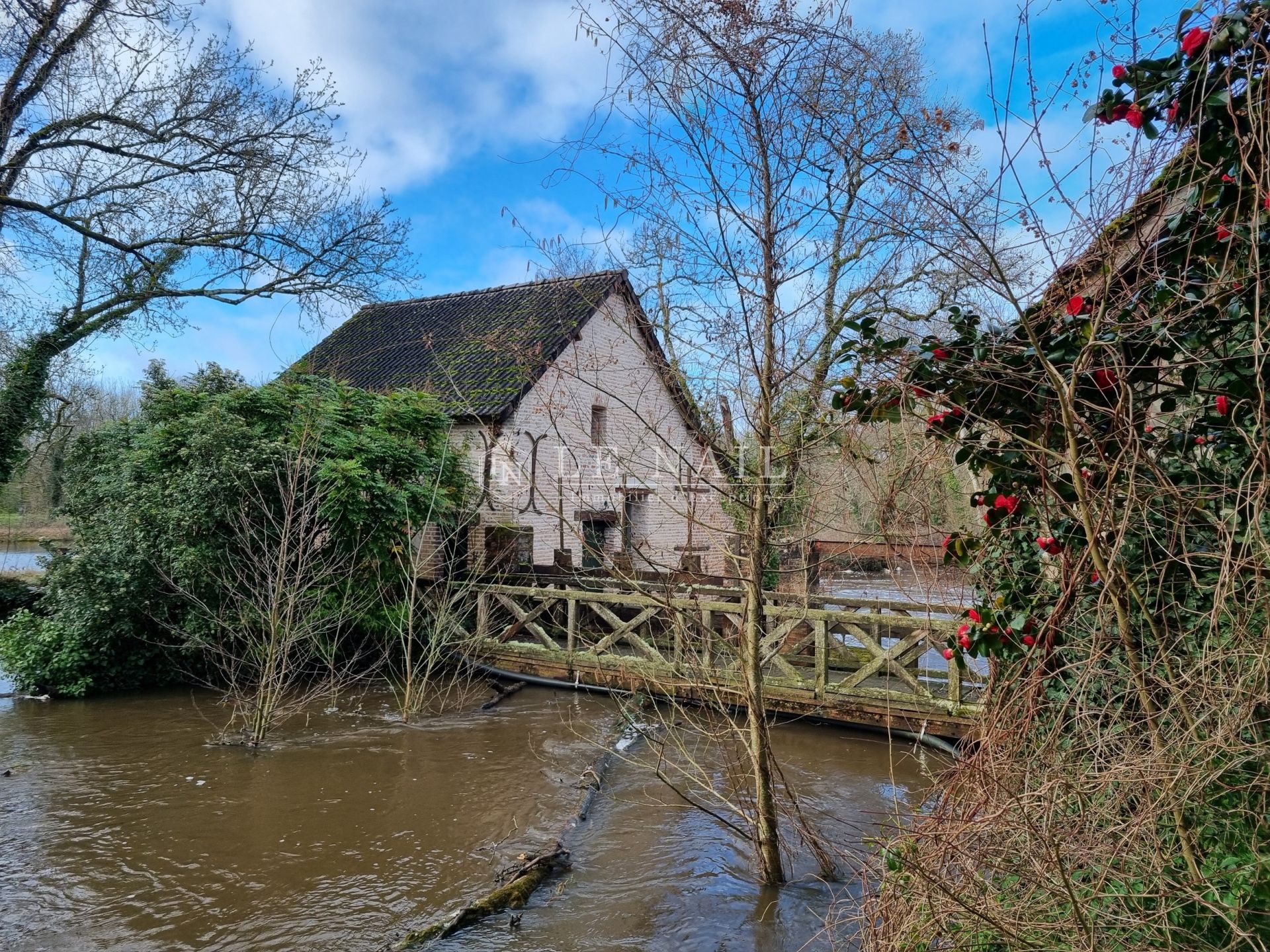 property 14 rooms for sale on LAMOTTE BEUVRON (41600)