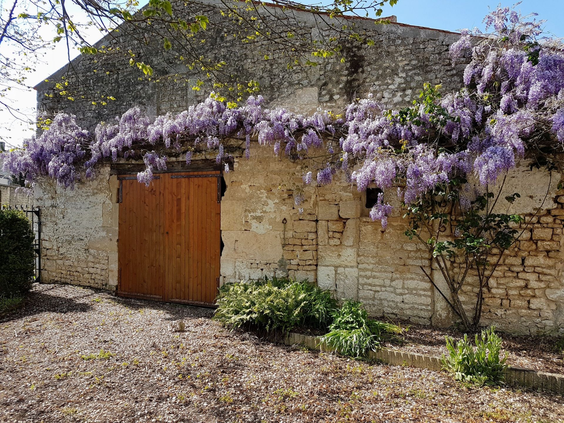 maison 8 pièces en vente à LUCON (85400)