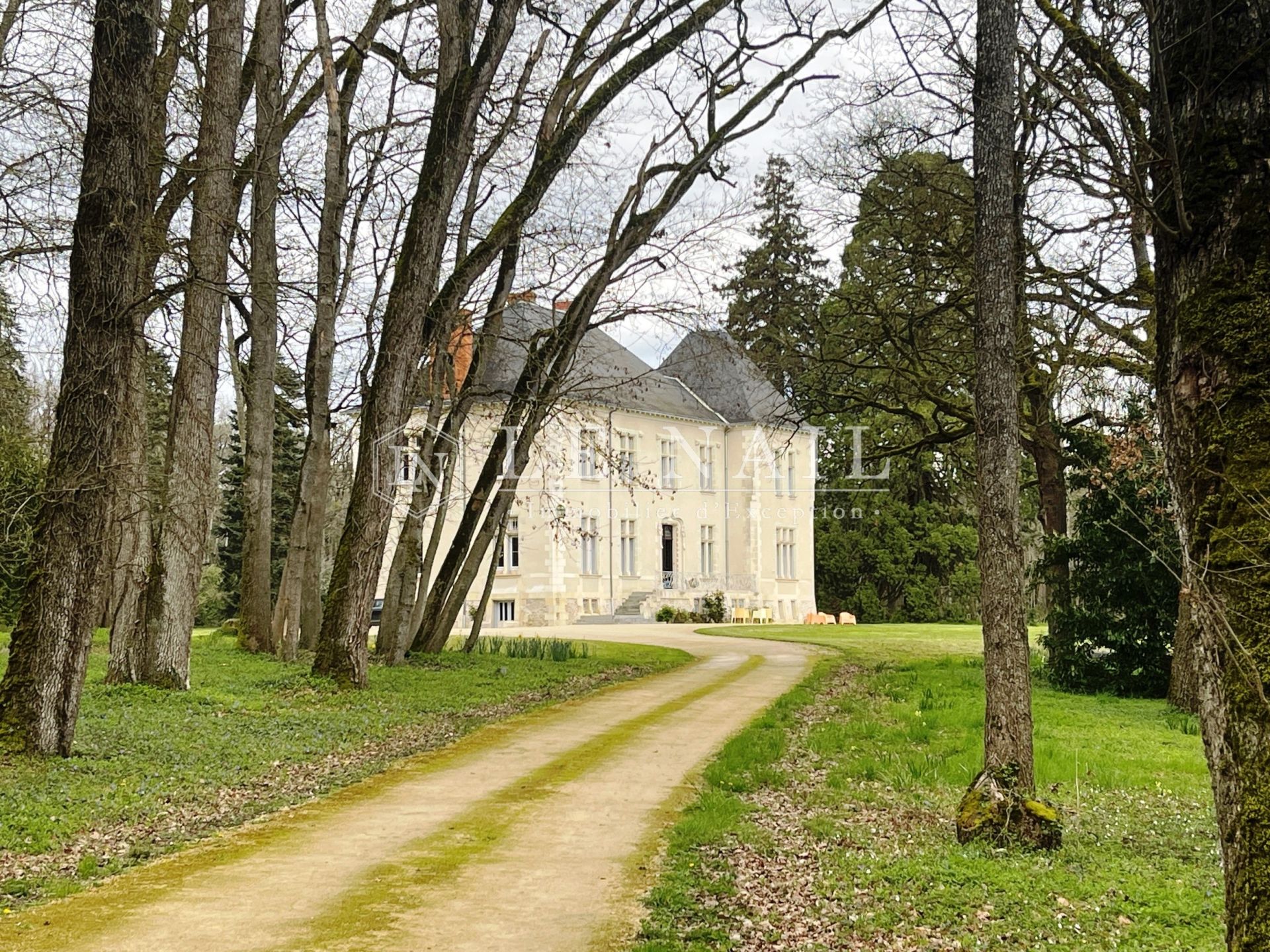 castle 11 rooms for sale on POITIERS (86000)