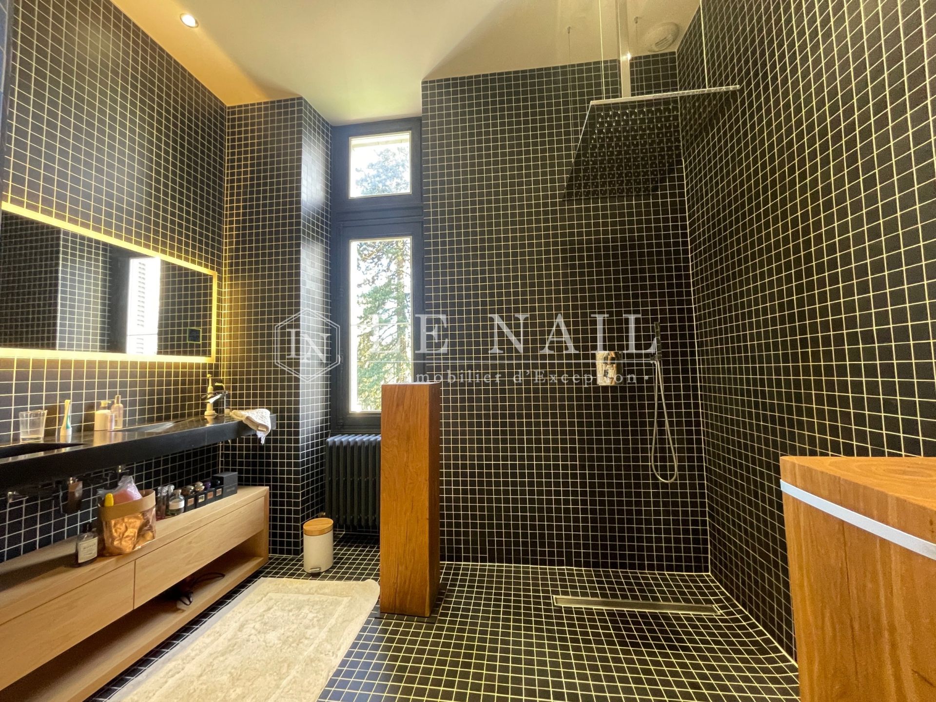 castle 11 rooms for sale on POITIERS (86000)