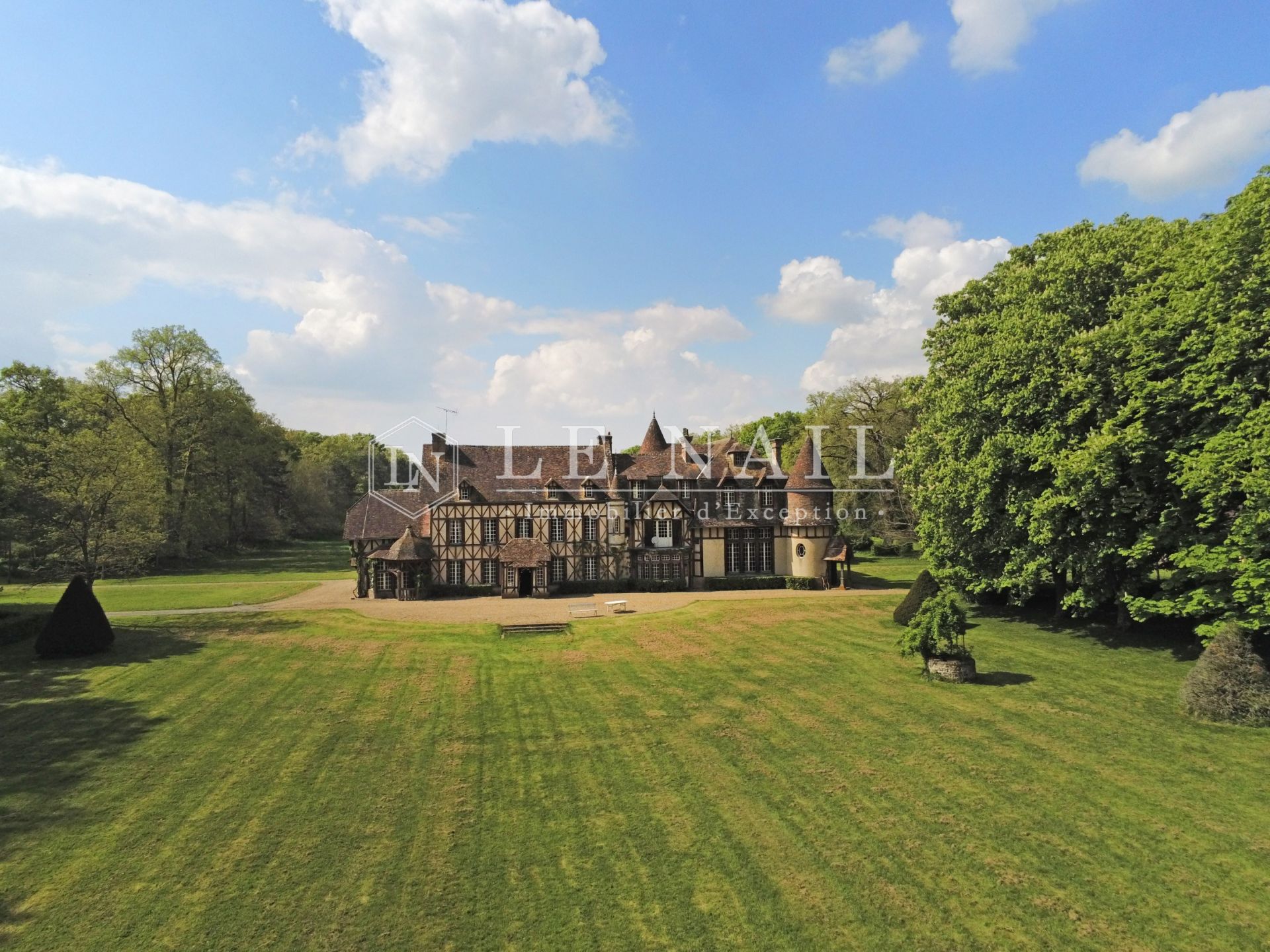 castle 27 rooms for sale on SENONCHES (28250)