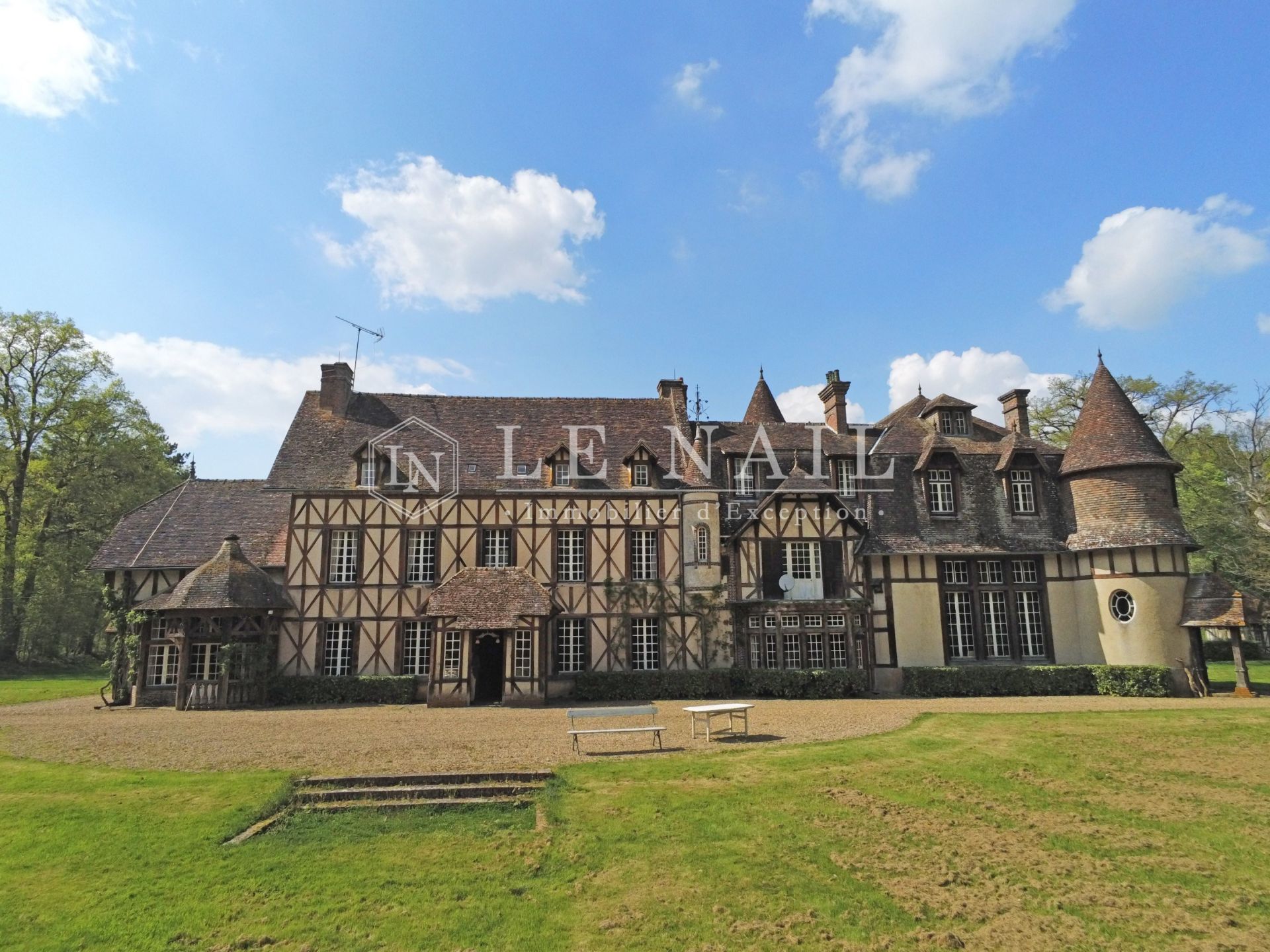 castle 27 rooms for sale on SENONCHES (28250)