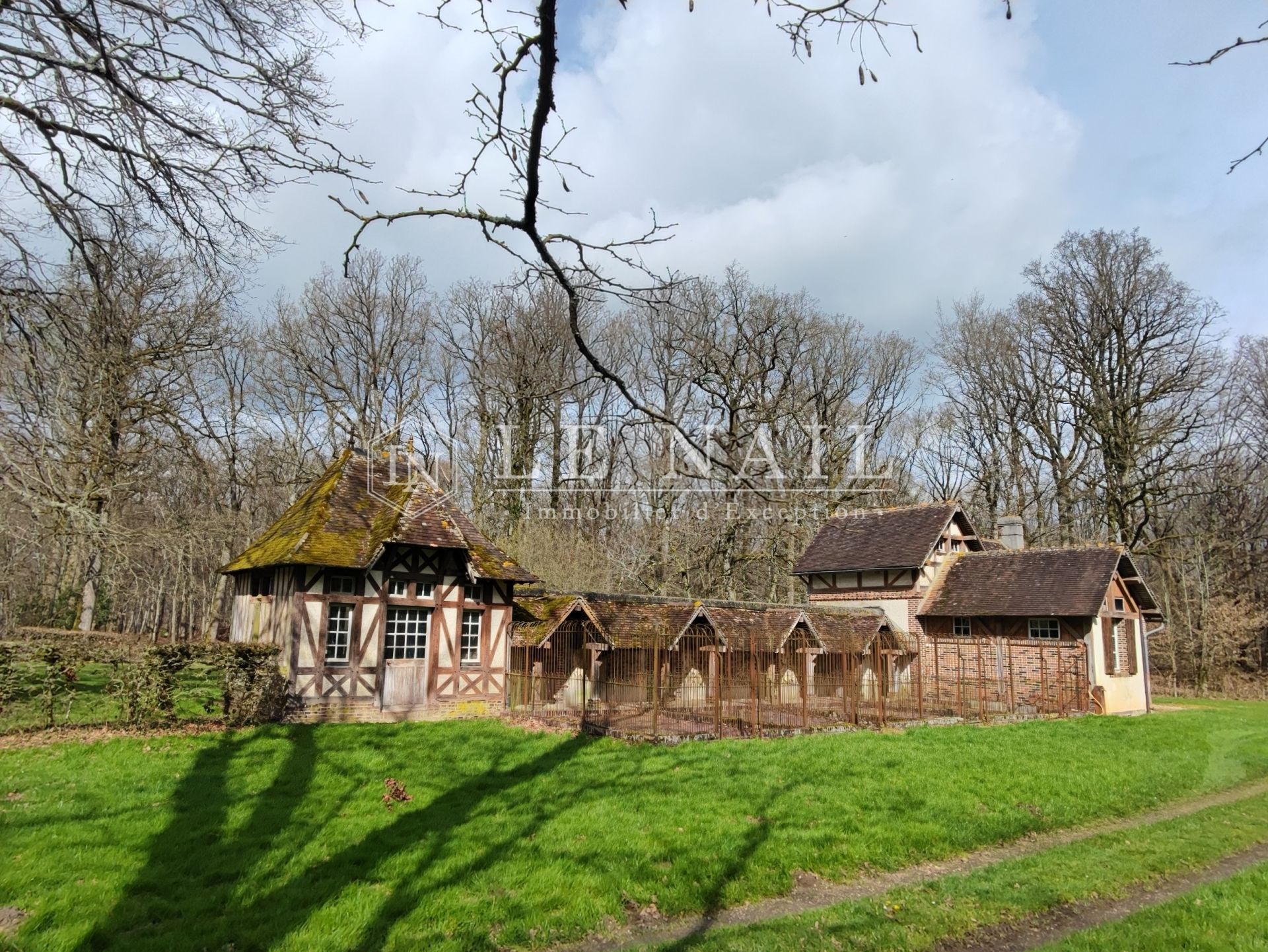 castle 27 rooms for sale on SENONCHES (28250)