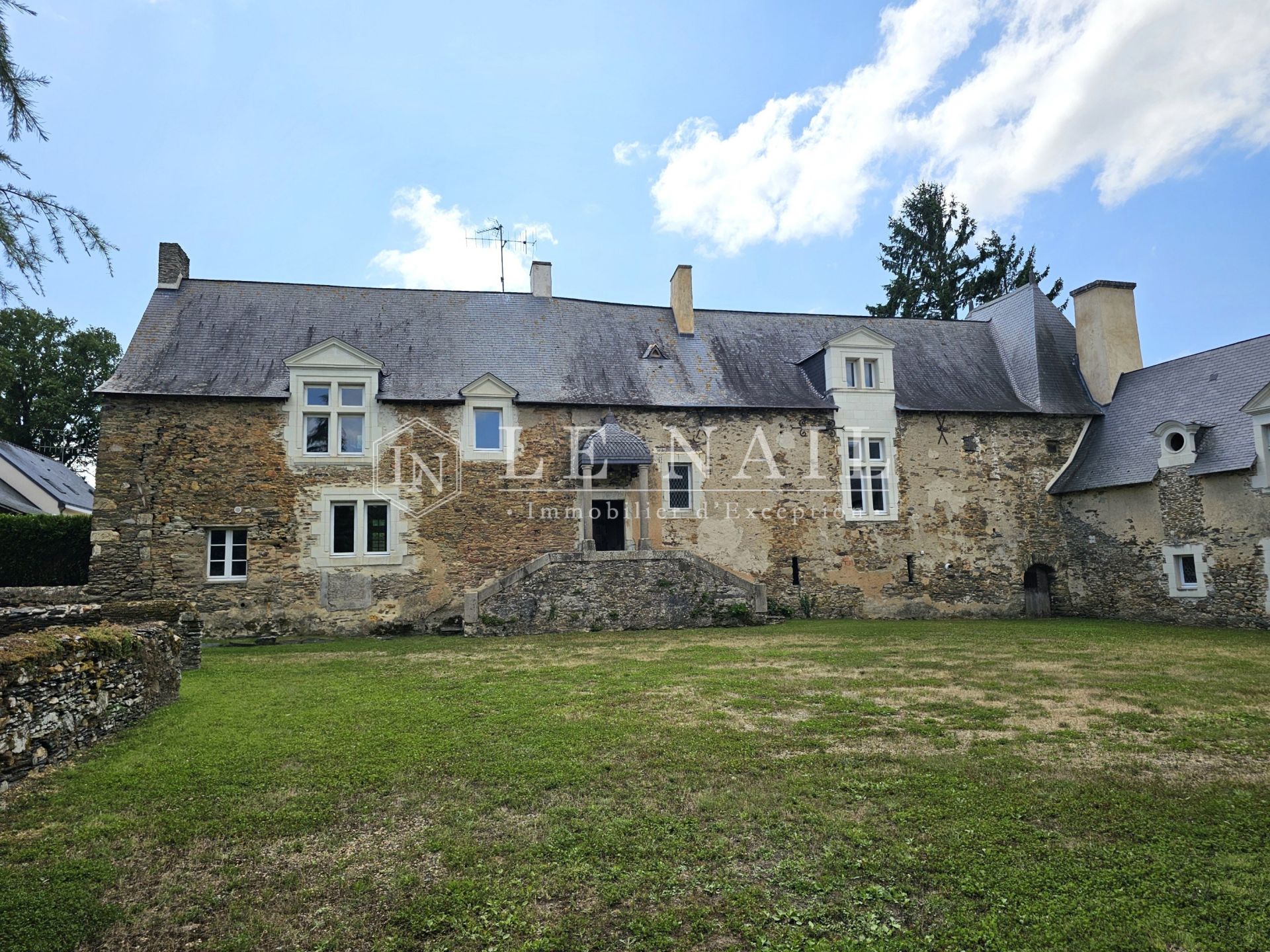 manor house 10 rooms for sale on SEGRE EN ANJOU BLEU (49500)