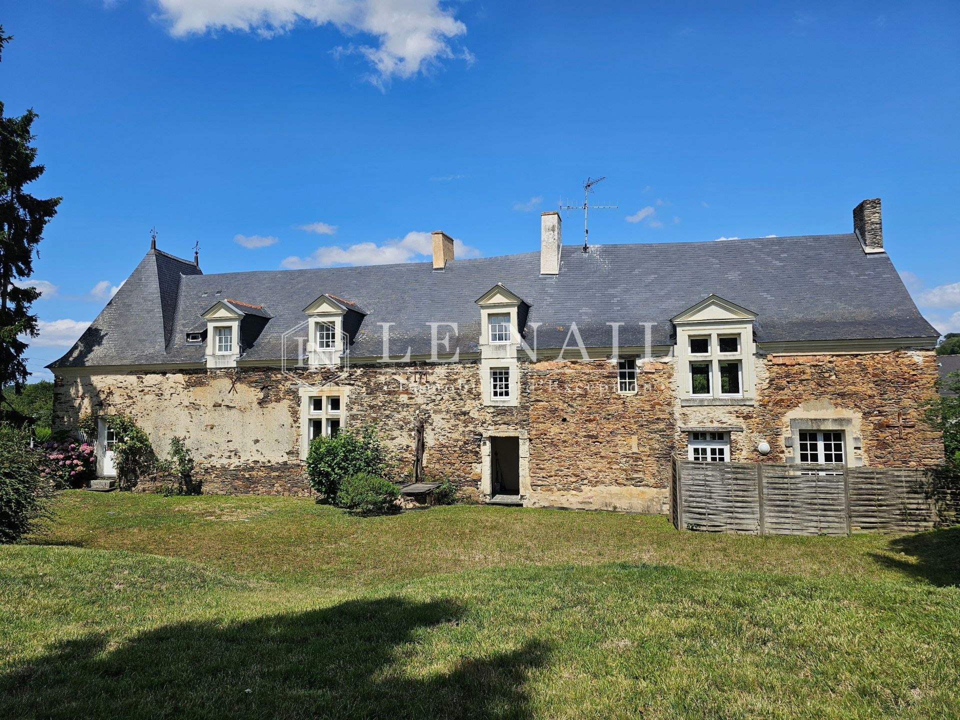 manor house 10 rooms for sale on SEGRE EN ANJOU BLEU (49500)