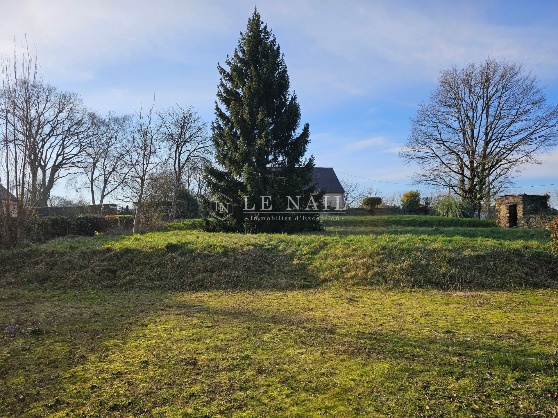 manor house 10 rooms for sale on SEGRE EN ANJOU BLEU (49500)