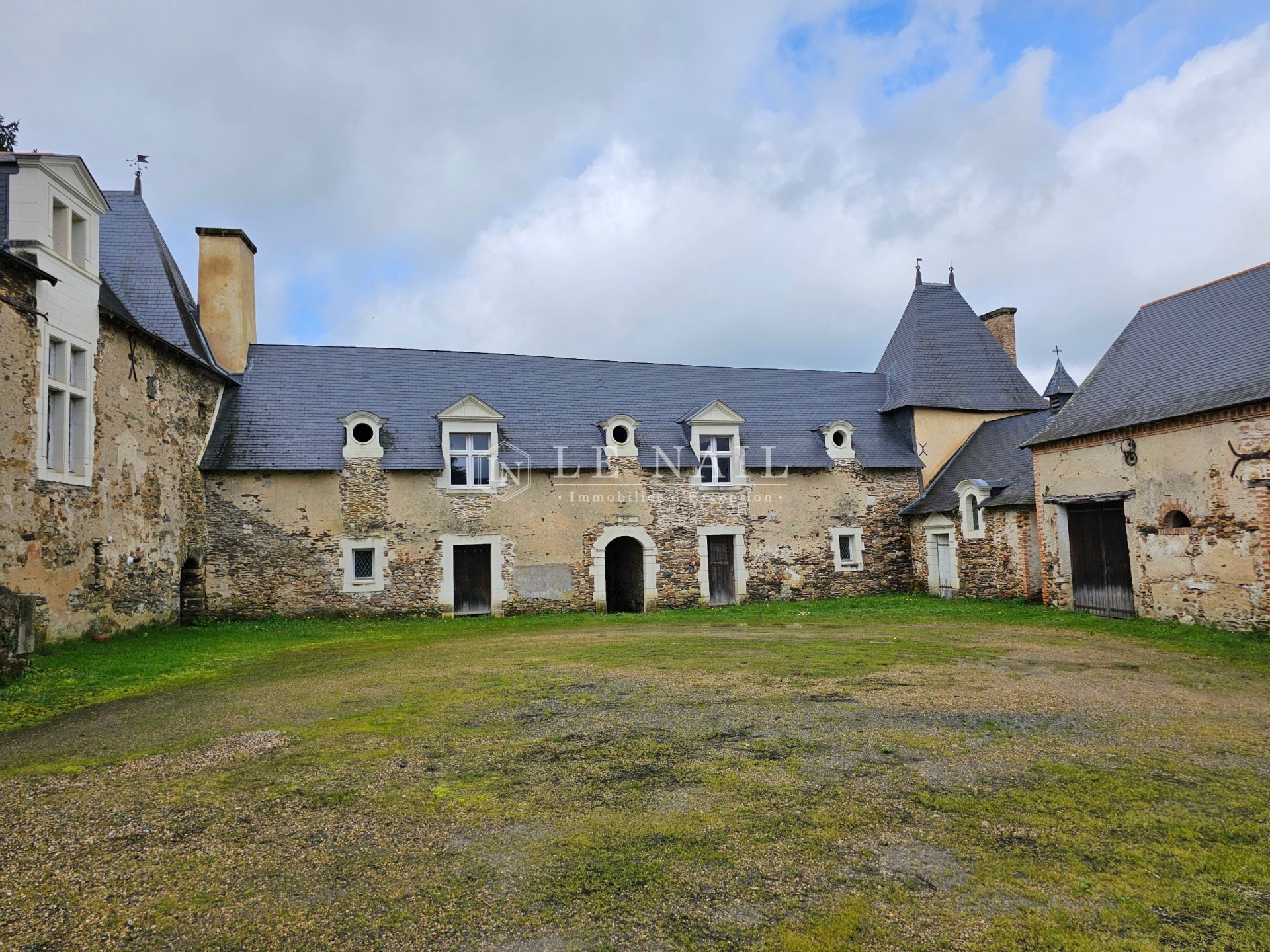 manor house 10 rooms for sale on SEGRE EN ANJOU BLEU (49500)