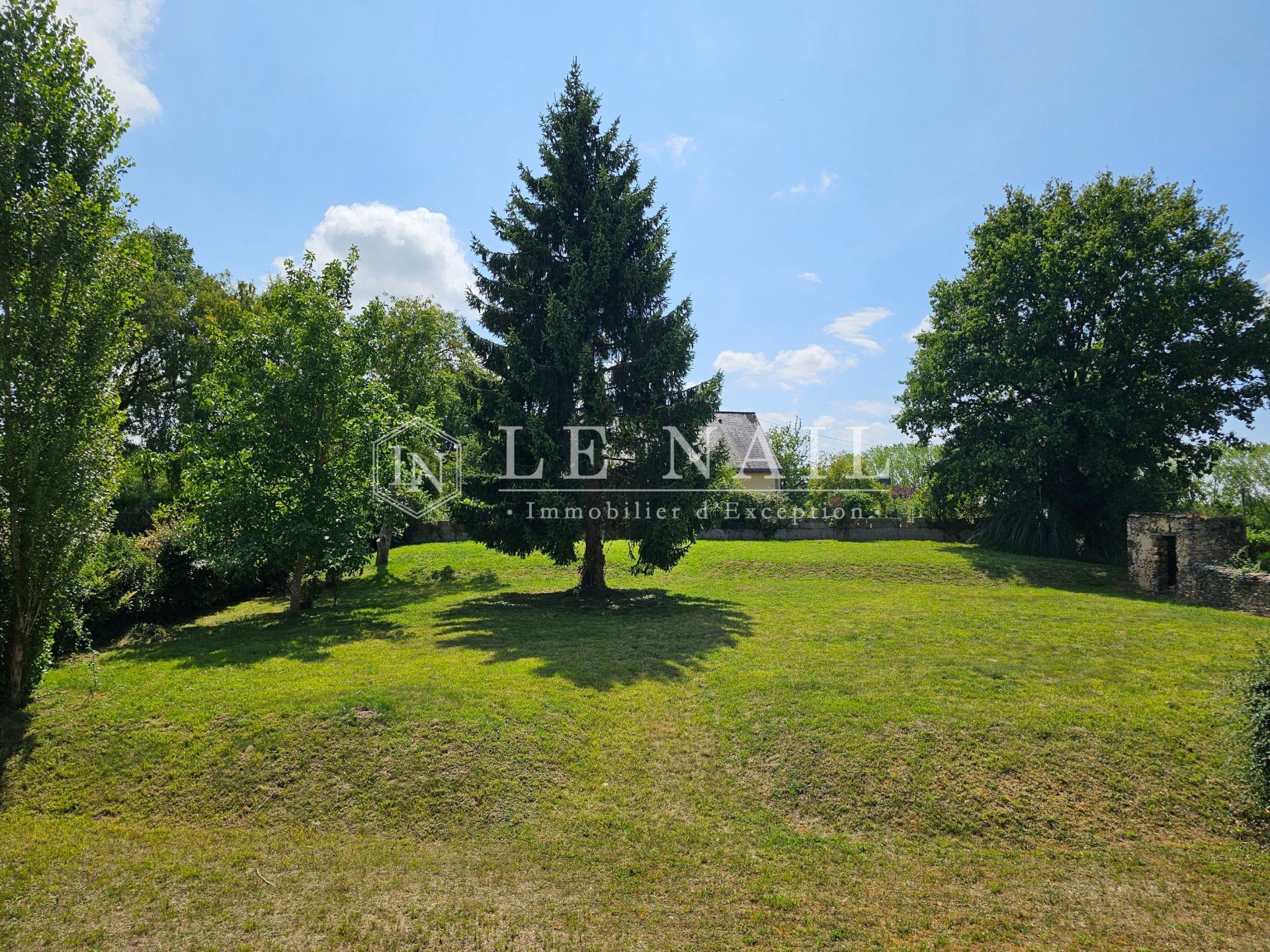 manor house 10 rooms for sale on SEGRE EN ANJOU BLEU (49500)