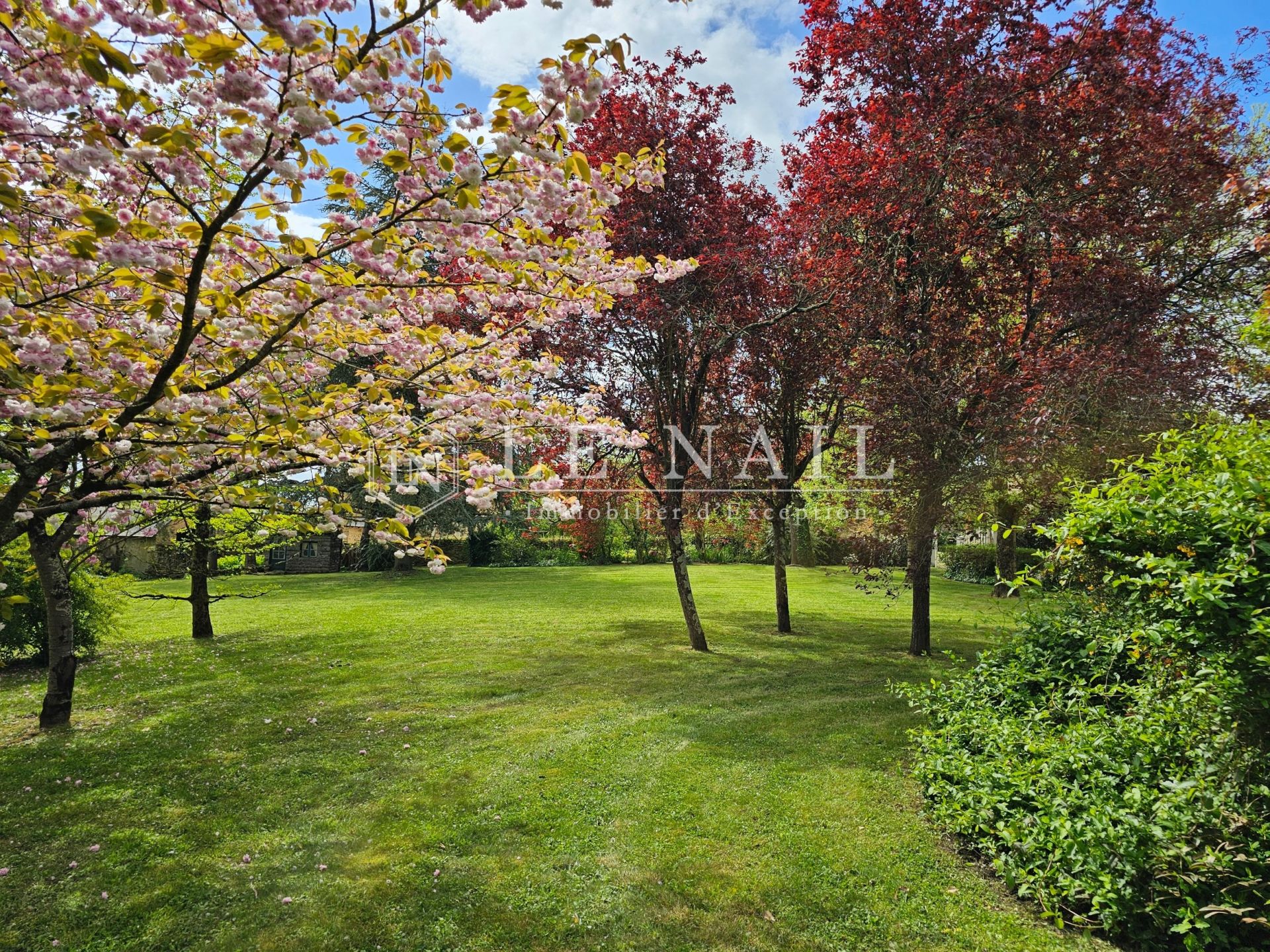 house 9 rooms for sale on LE LION D ANGERS (49220)
