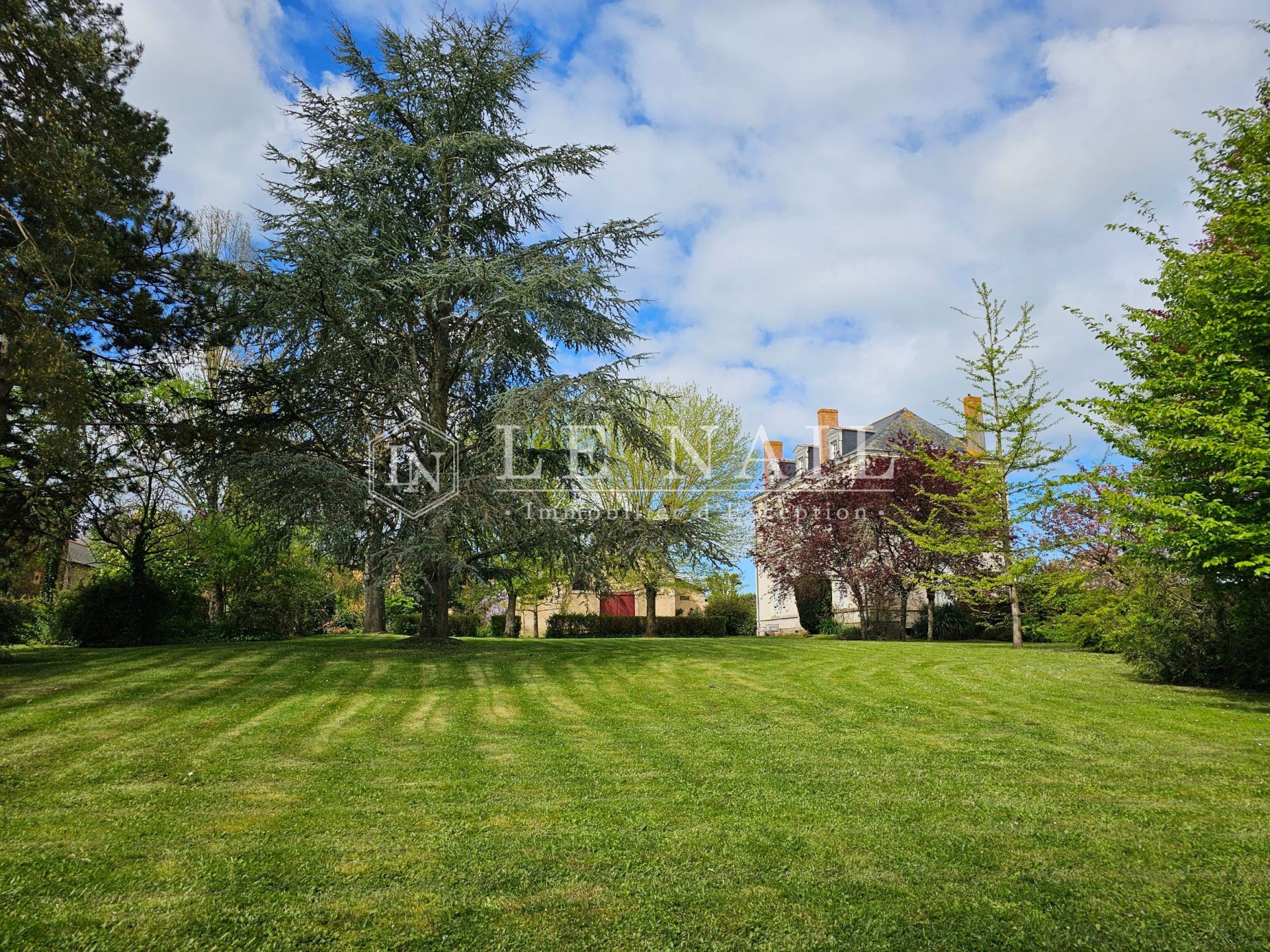 house 9 rooms for sale on LE LION D ANGERS (49220)