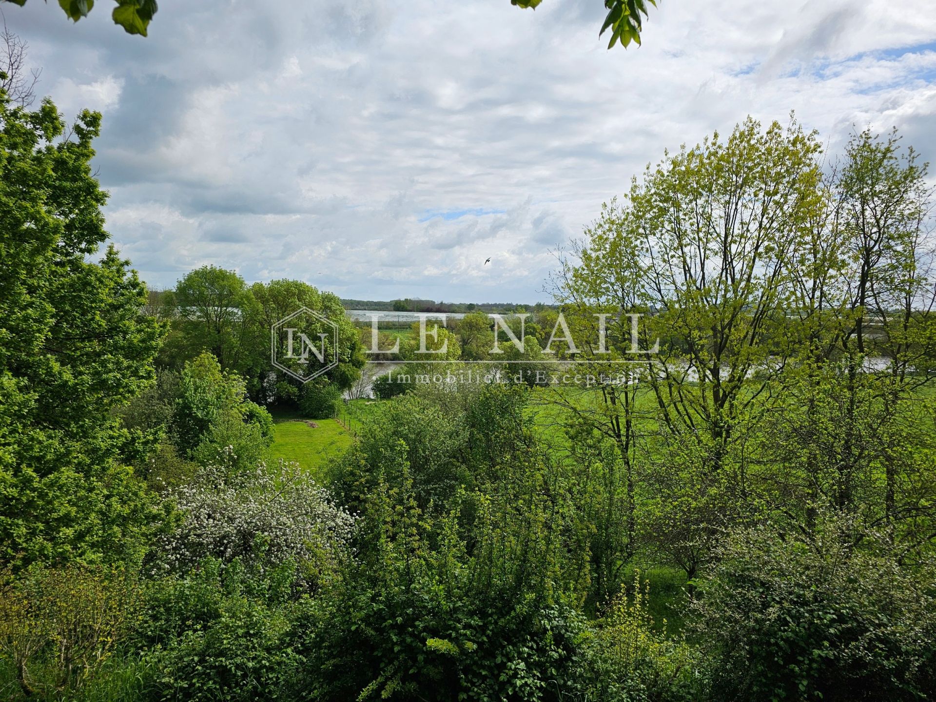house 9 rooms for sale on LE LION D ANGERS (49220)