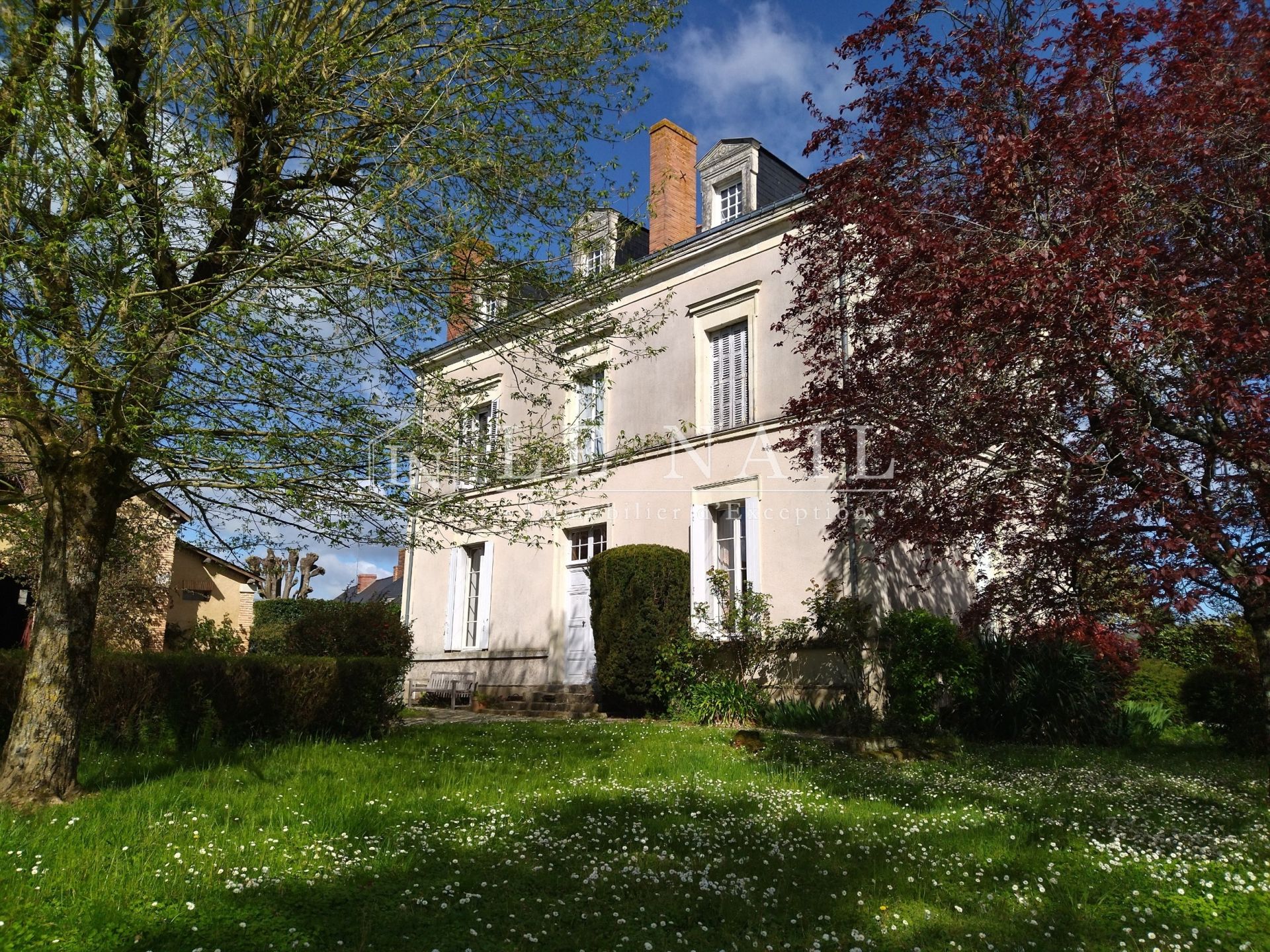 house 9 rooms for sale on LE LION D ANGERS (49220)