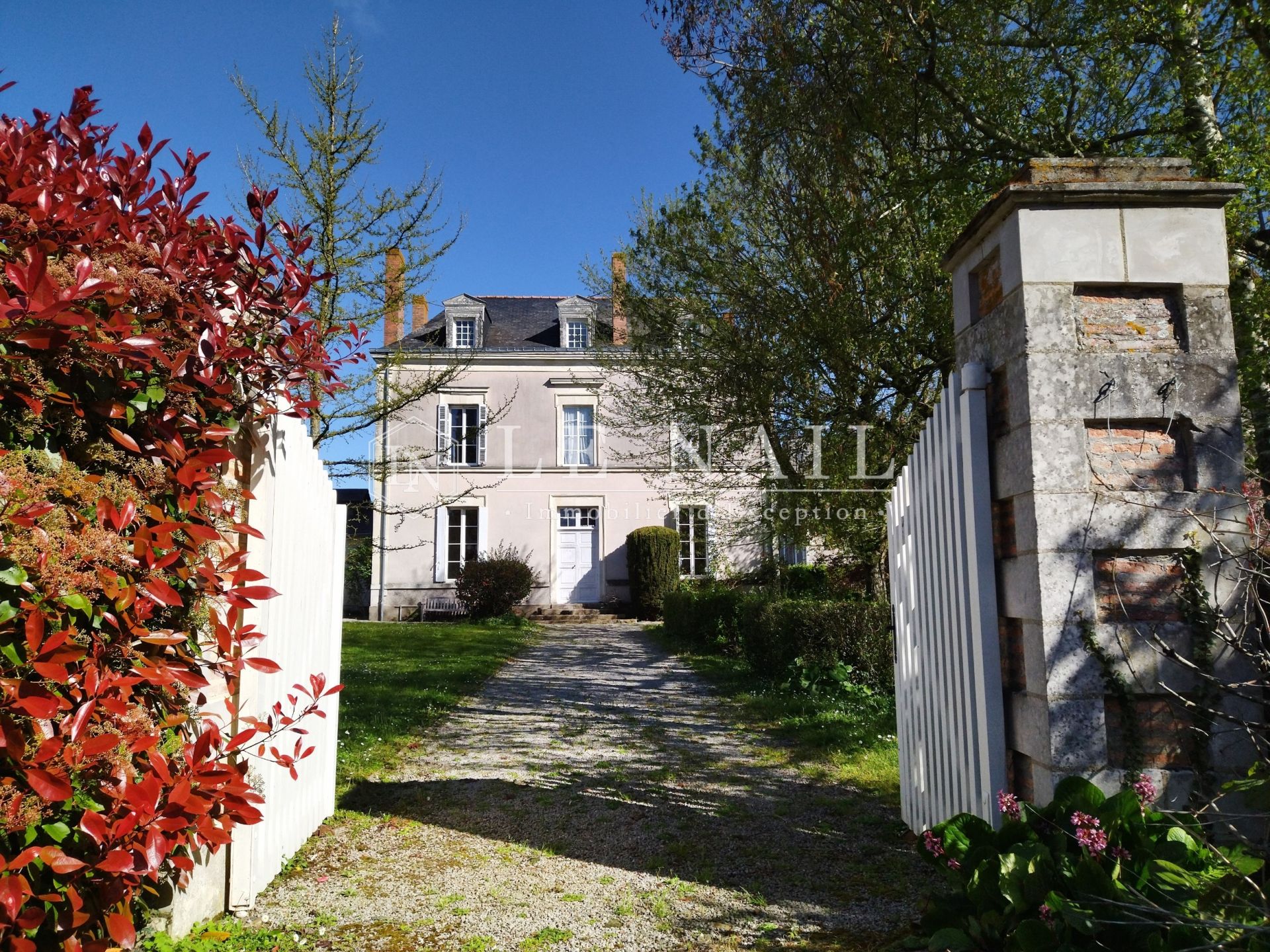 house 9 rooms for sale on LE LION D ANGERS (49220)