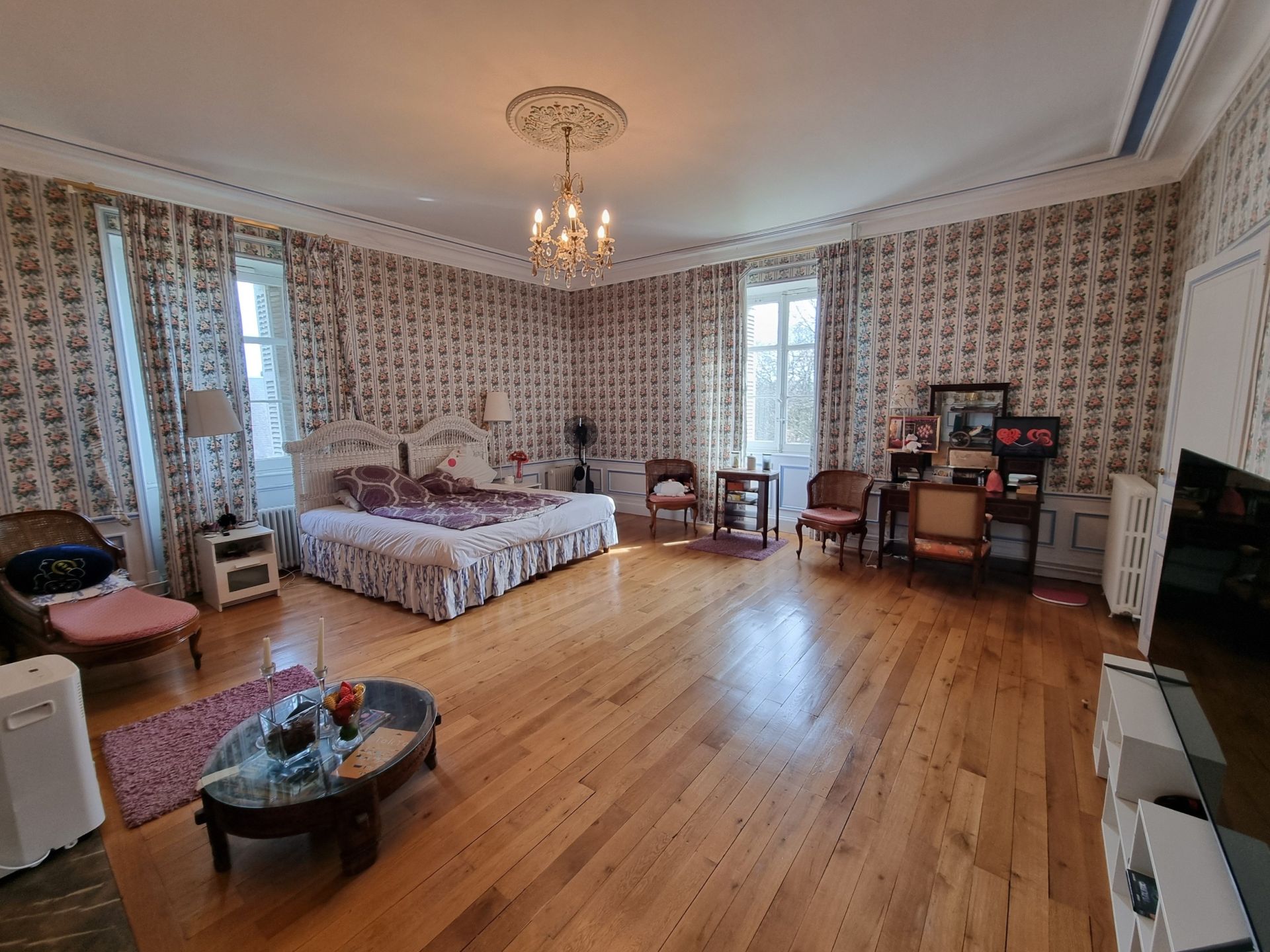 château 20 pièces en vente à TOURS (37000)
