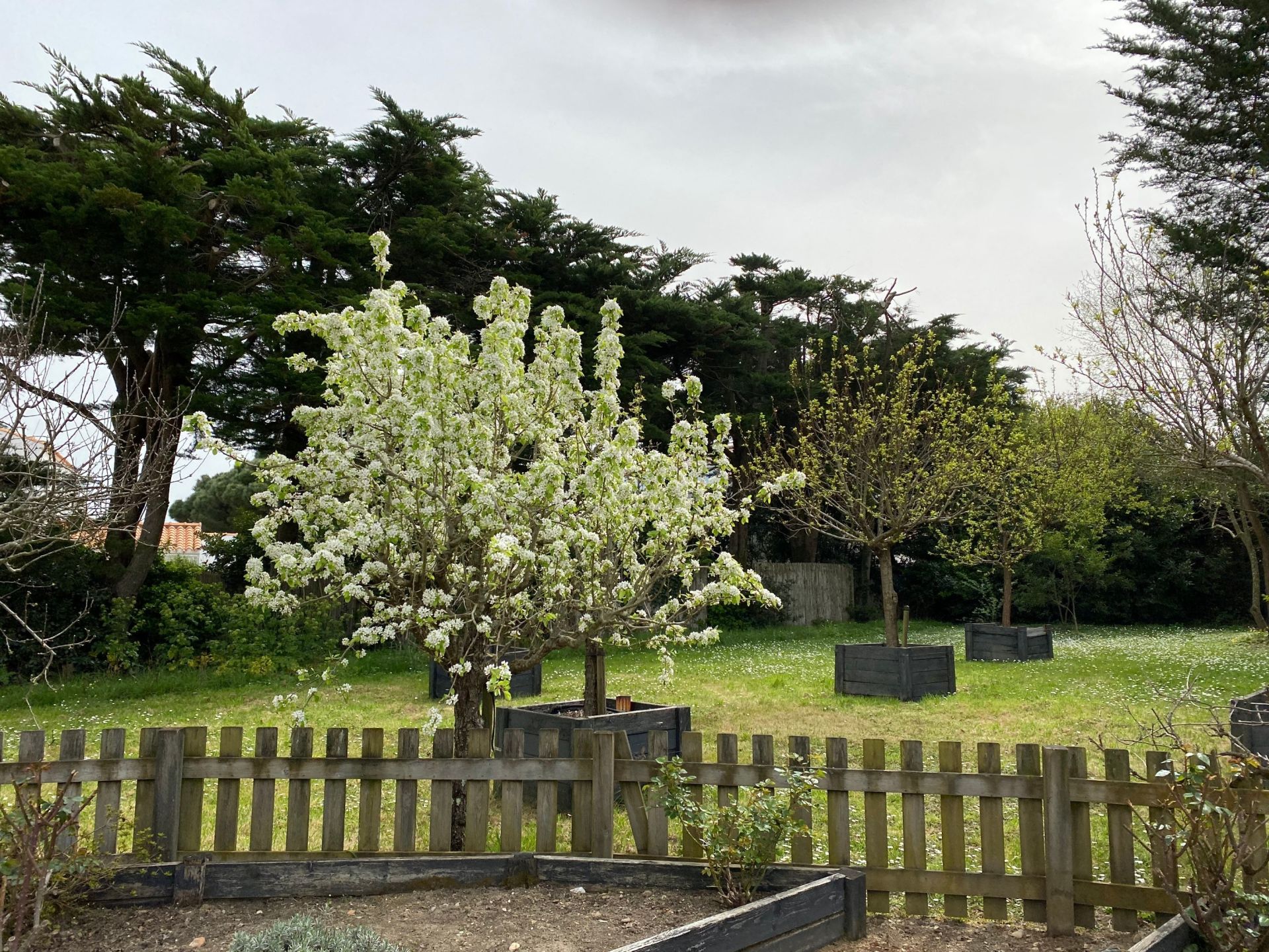 maison 10 pièces en vente à NOIRMOUTIER EN L ILE (85330)