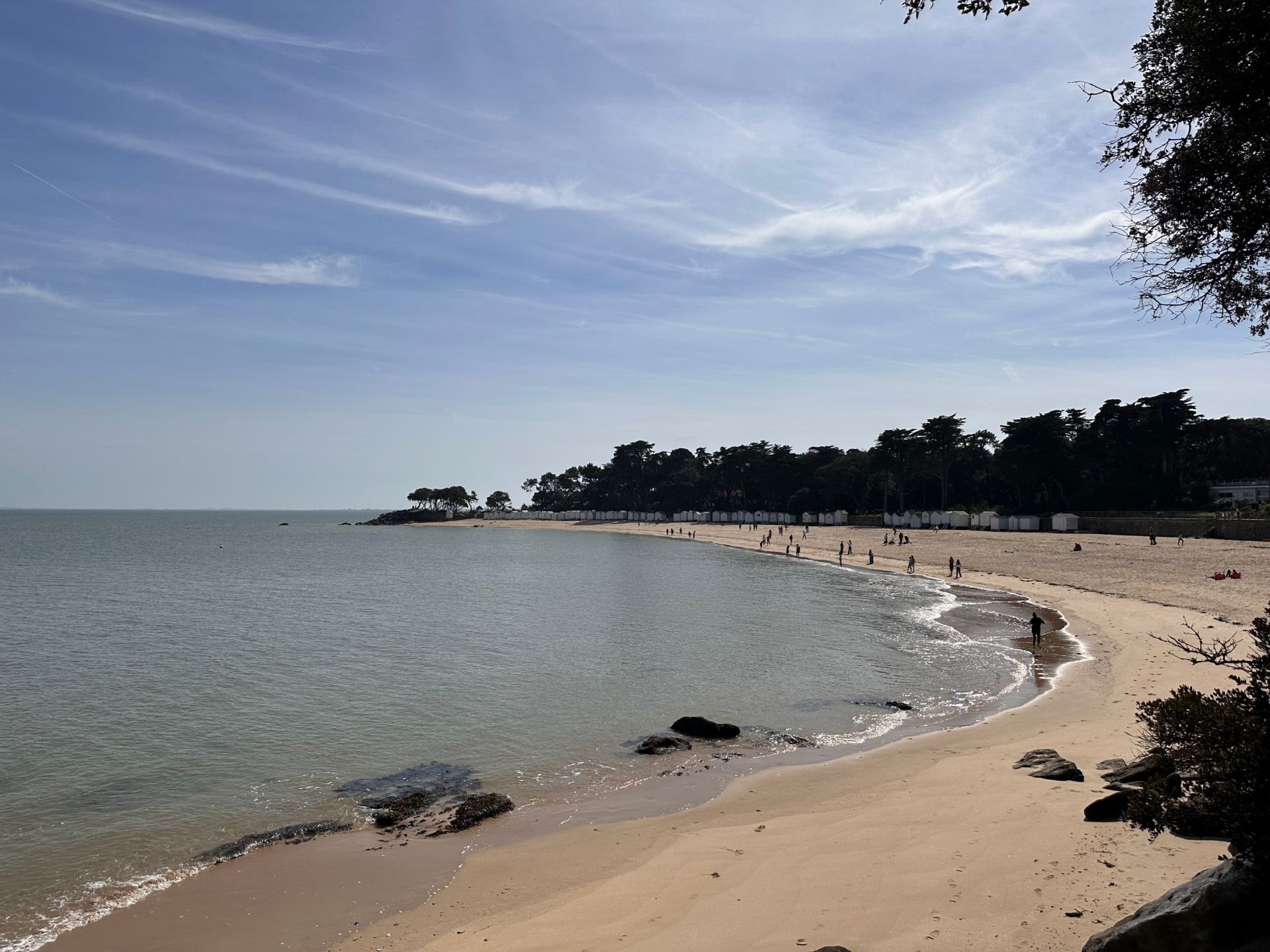 maison 10 pièces en vente à NOIRMOUTIER EN L ILE (85330)