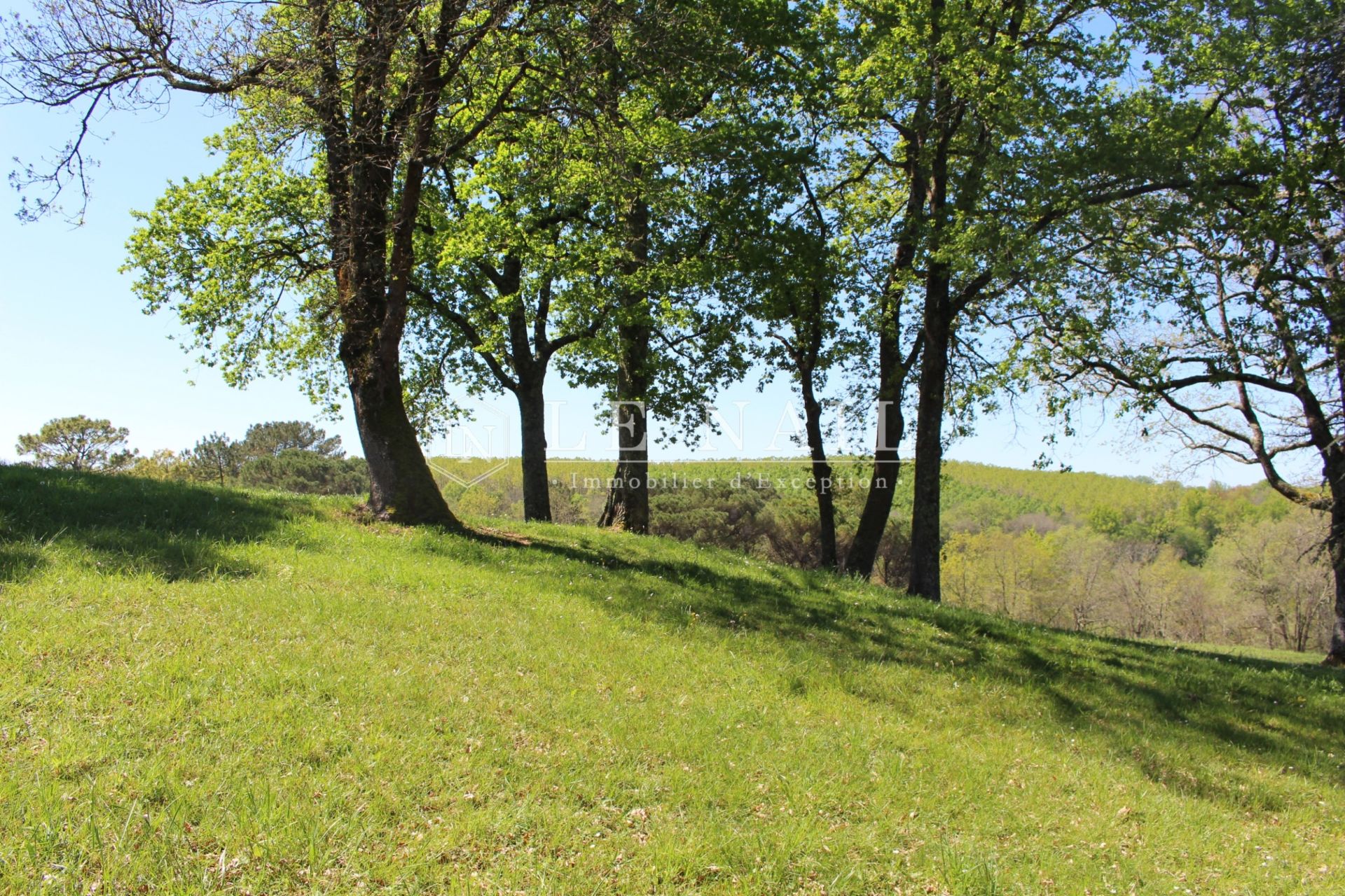 property 30 rooms for sale on BORDEAUX (33000)