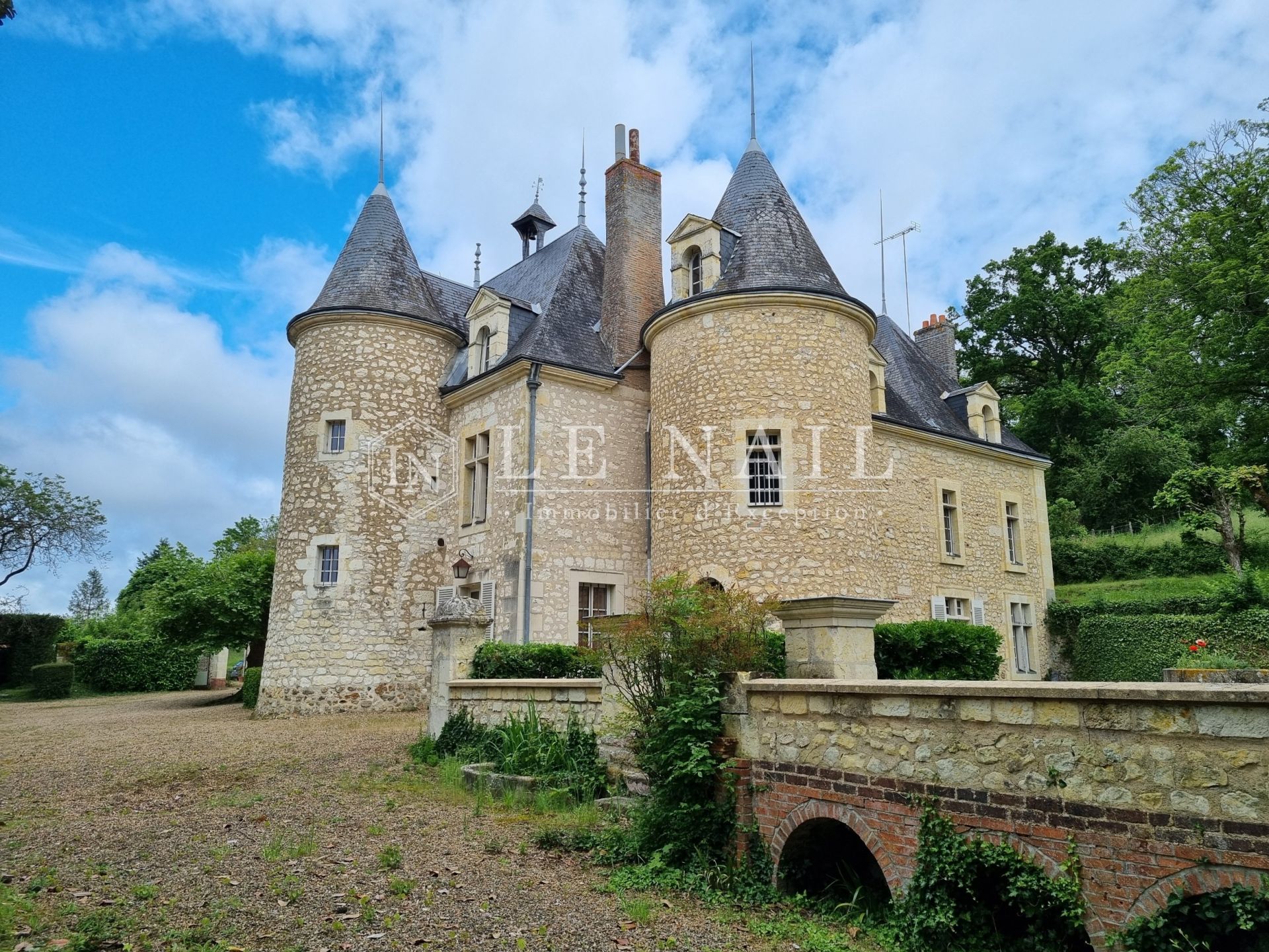 castle 20 rooms for sale on CHATEAU DU LOIR (72500)